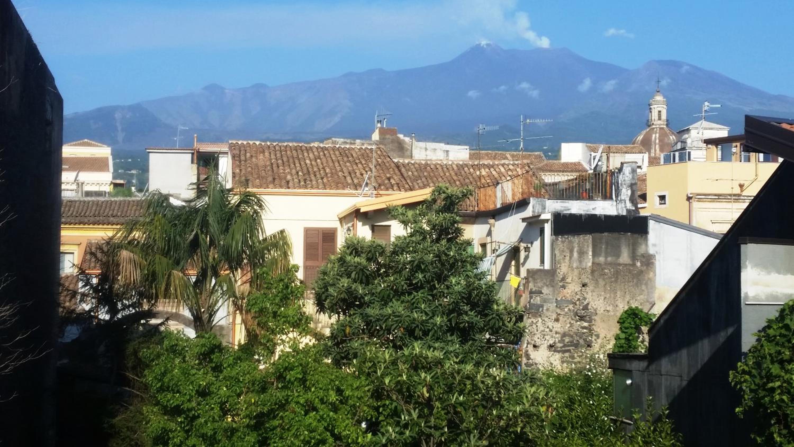 Tortugas B&B