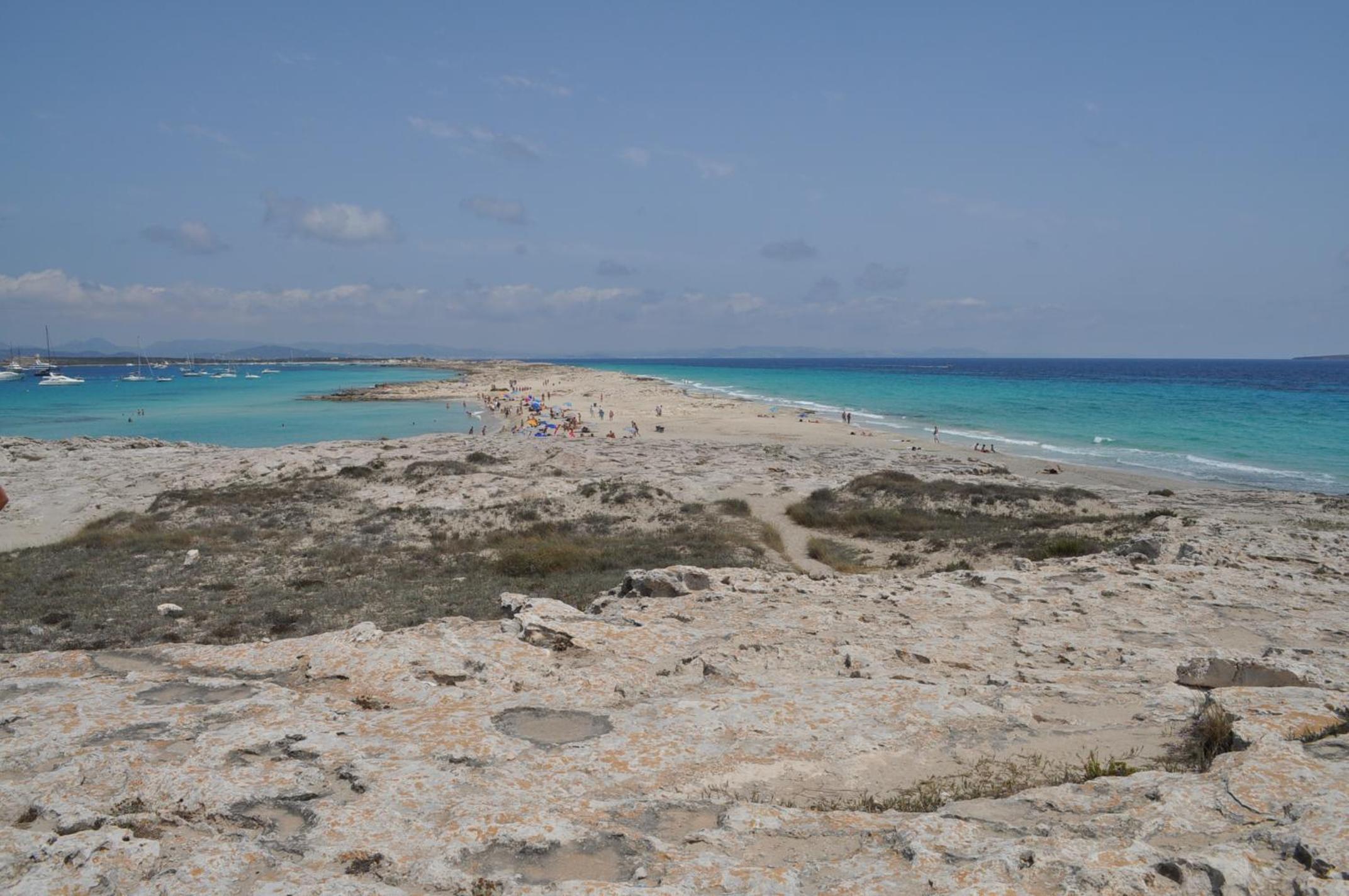 Photo 44