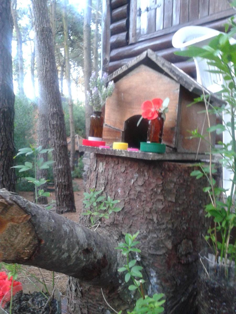 Cabañas De La Abuela