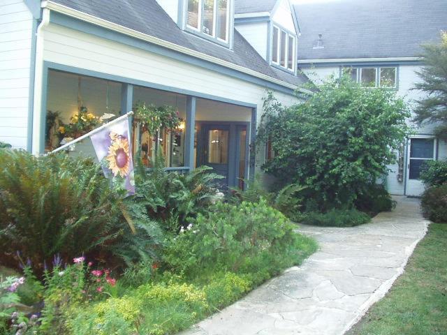 Lost Whale Inn view 5