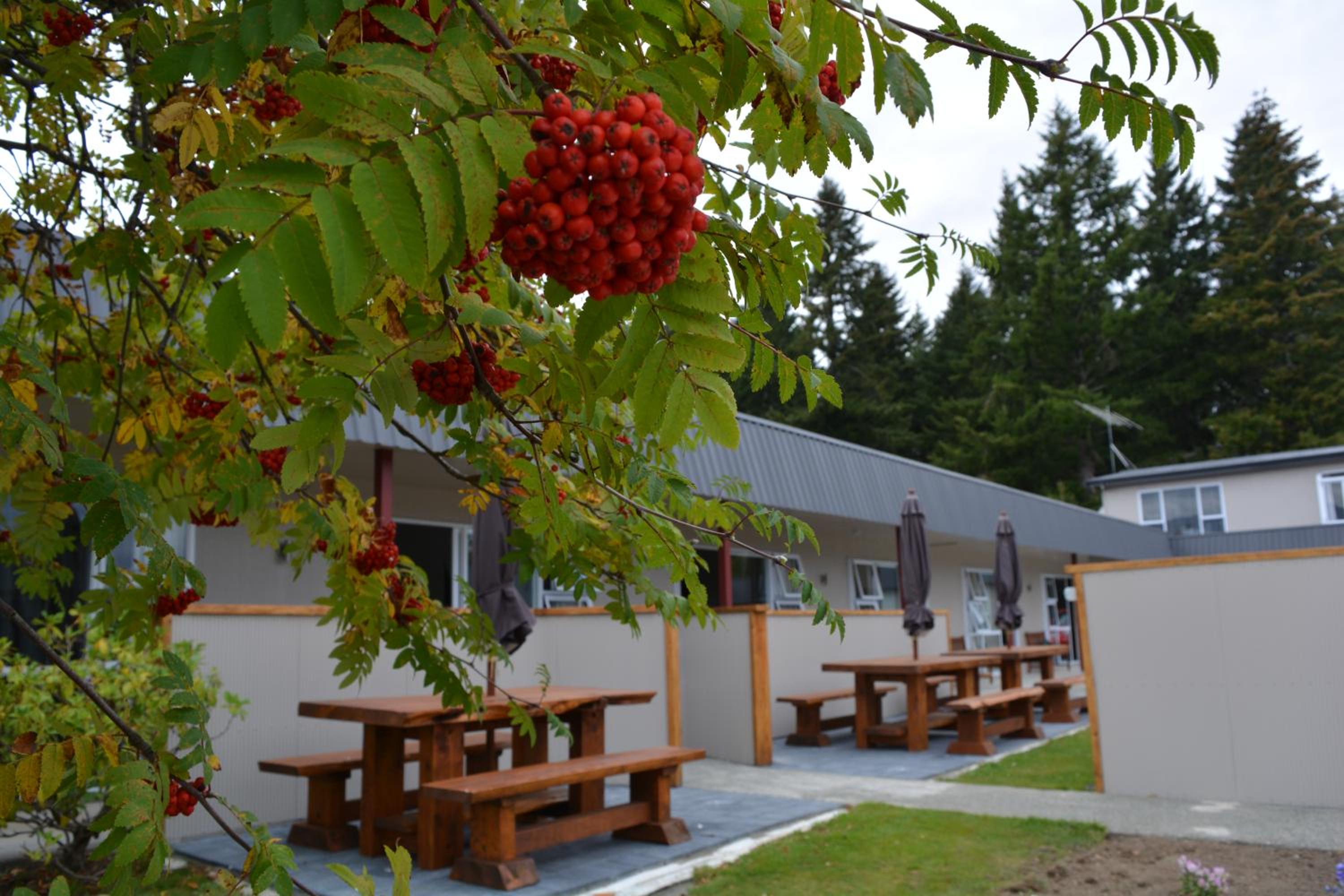 Amber Court Motel — photo 48