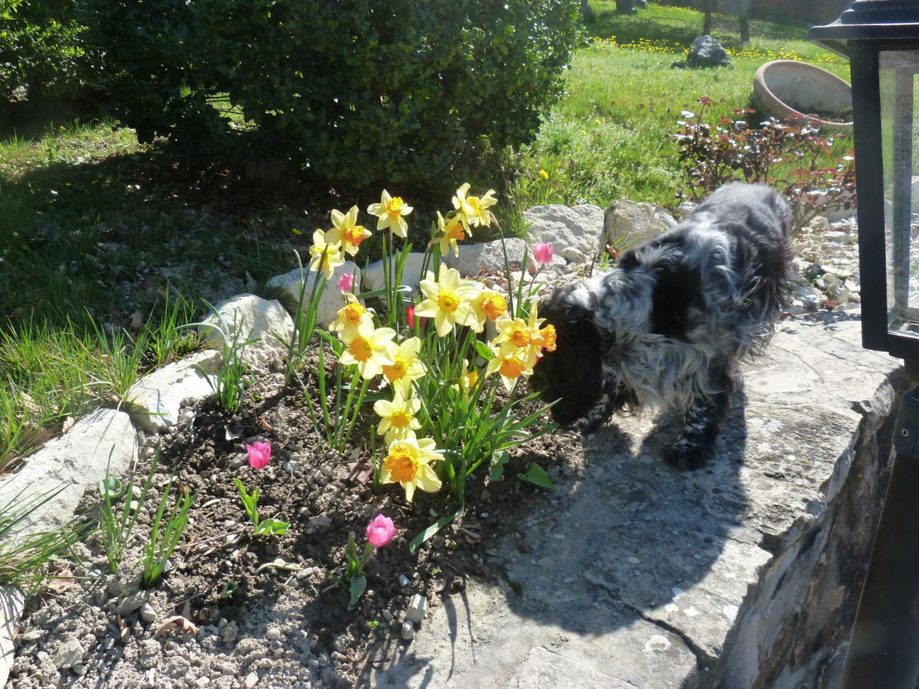 Photo 13