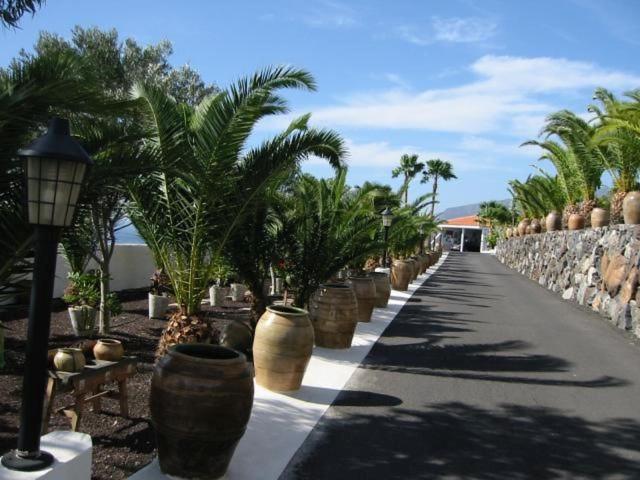 Casa Flores Finca Alcalá