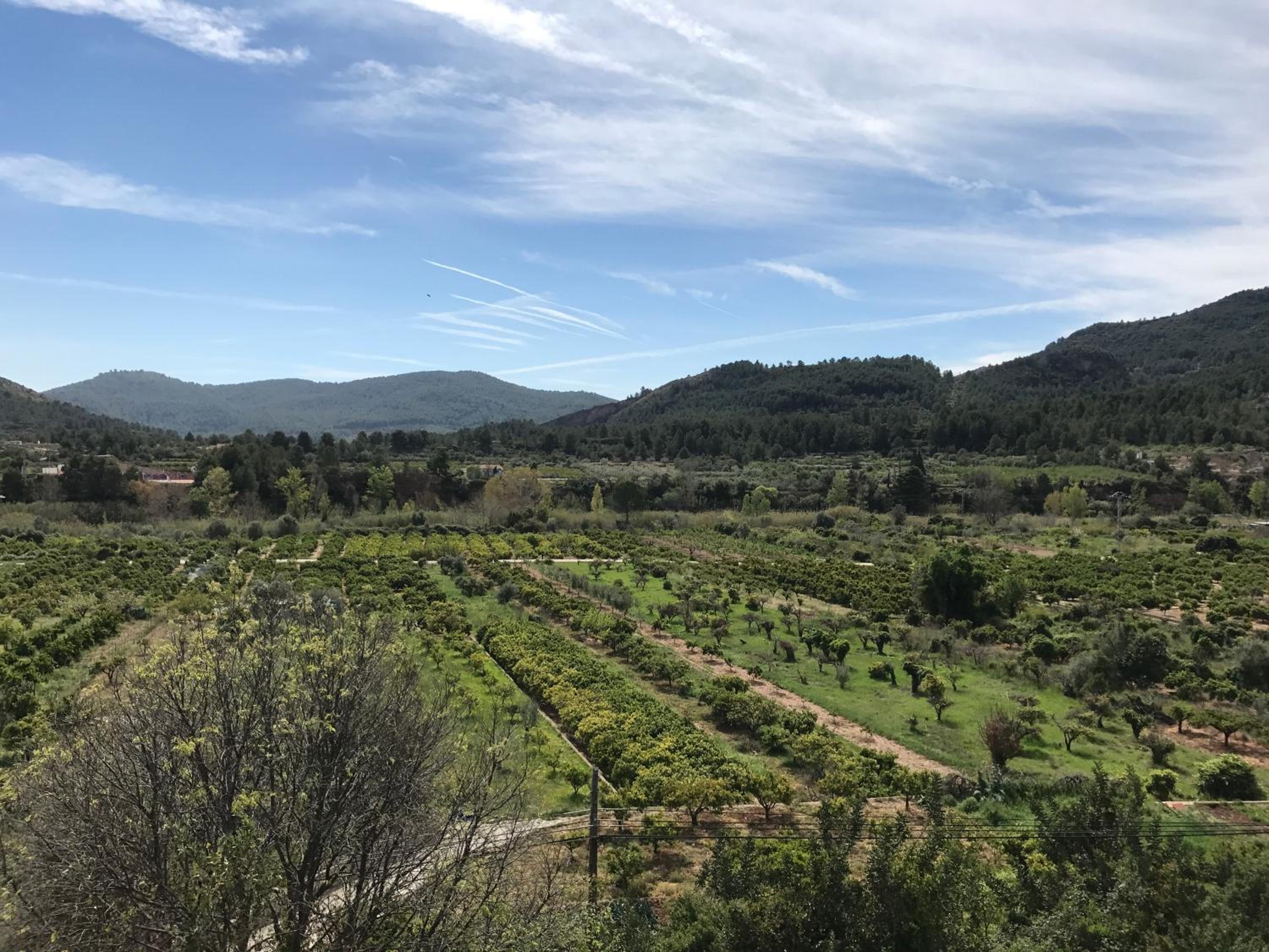 El Castellet Fanzara
