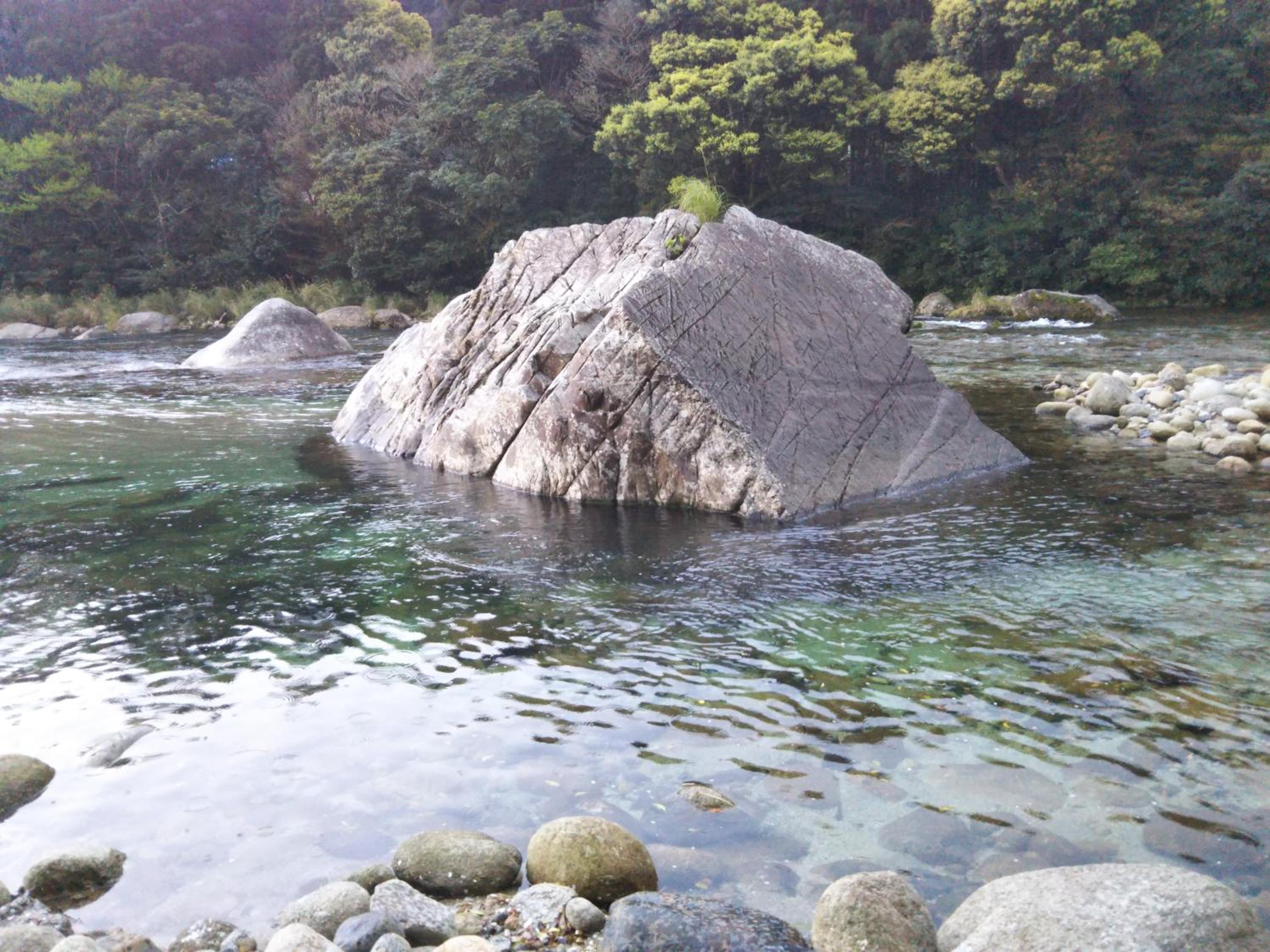 Cottage Yakusugi House