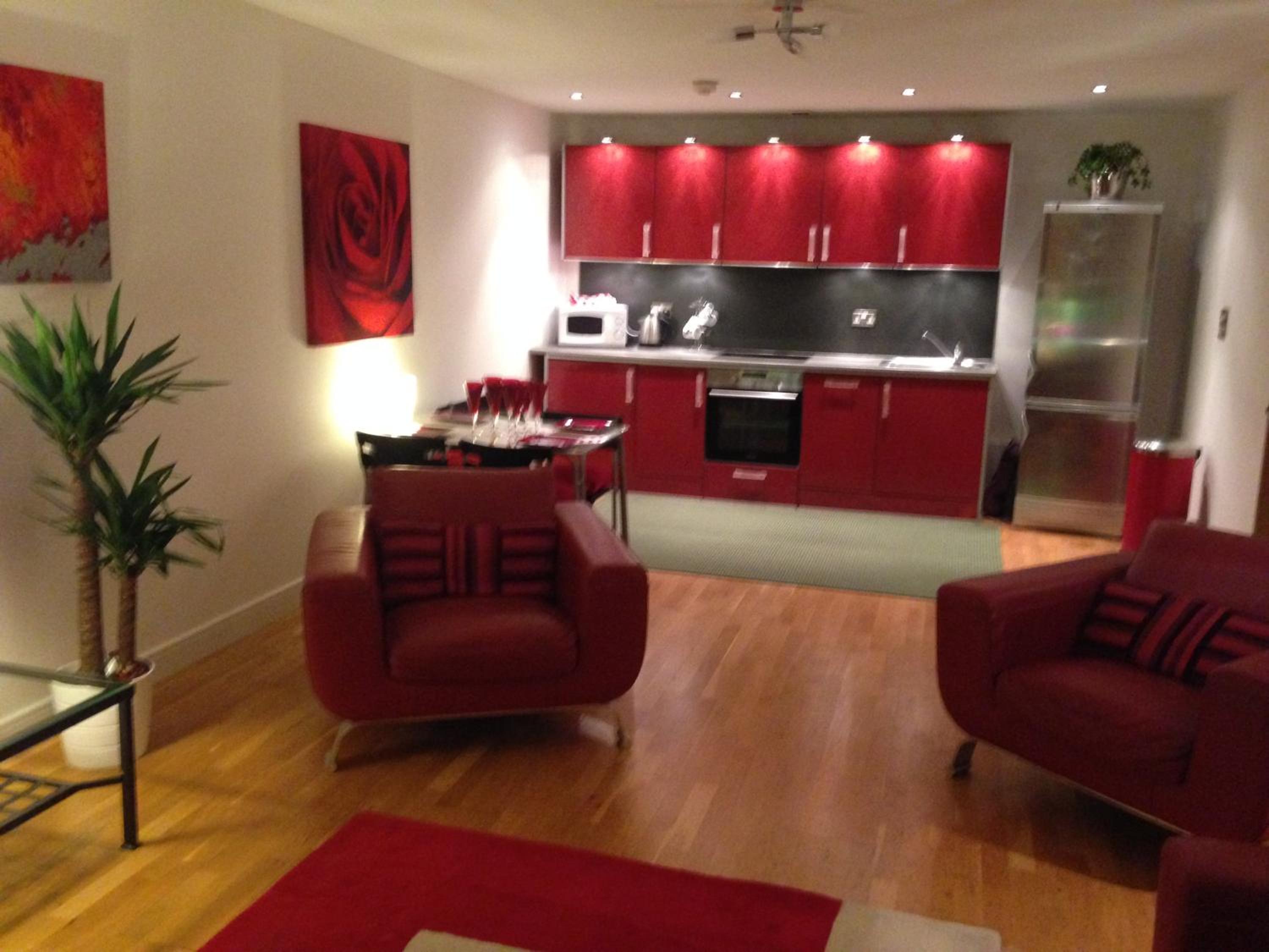 Stunning Spacious City Apartment with free parking view 3