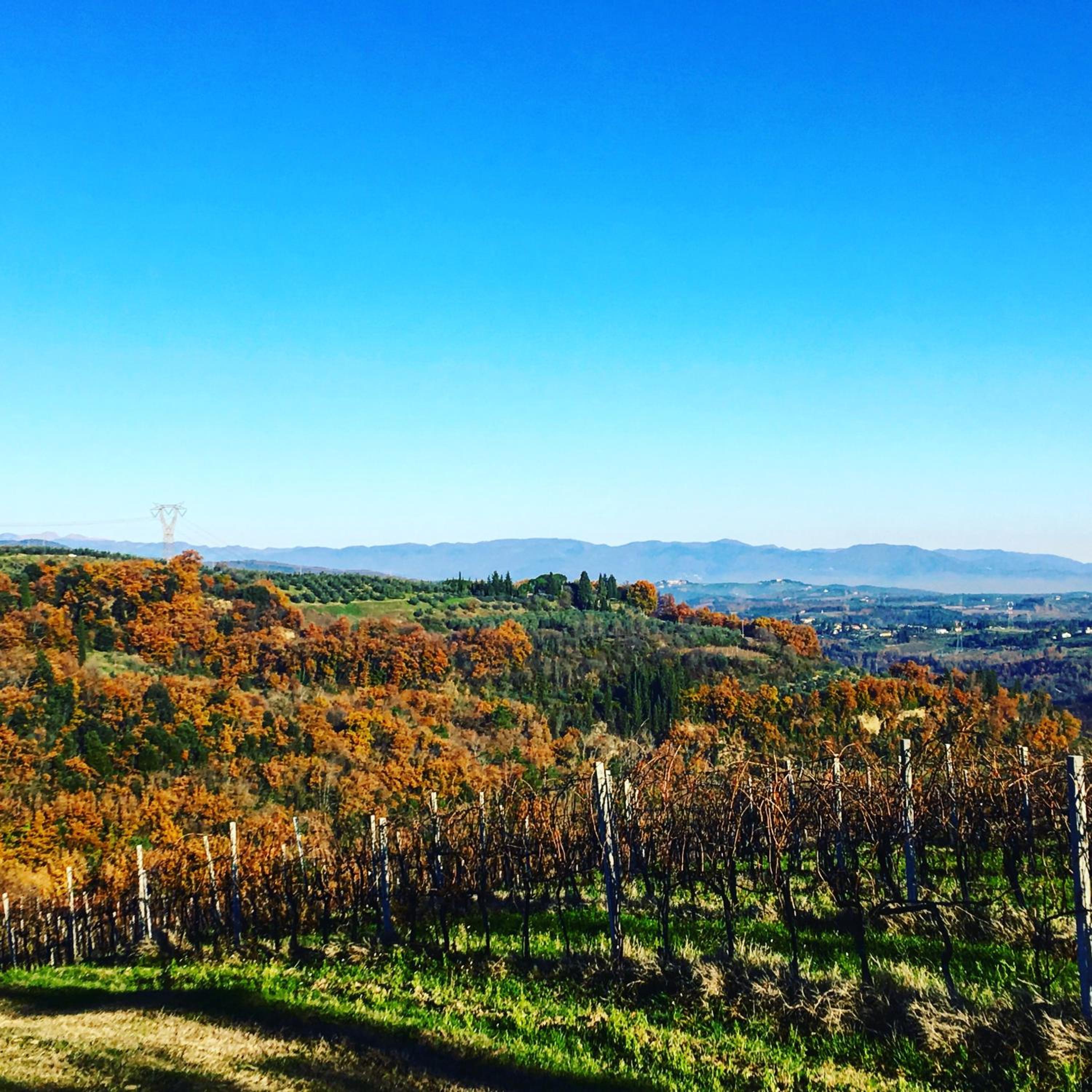 Podere Casanova di Lisa