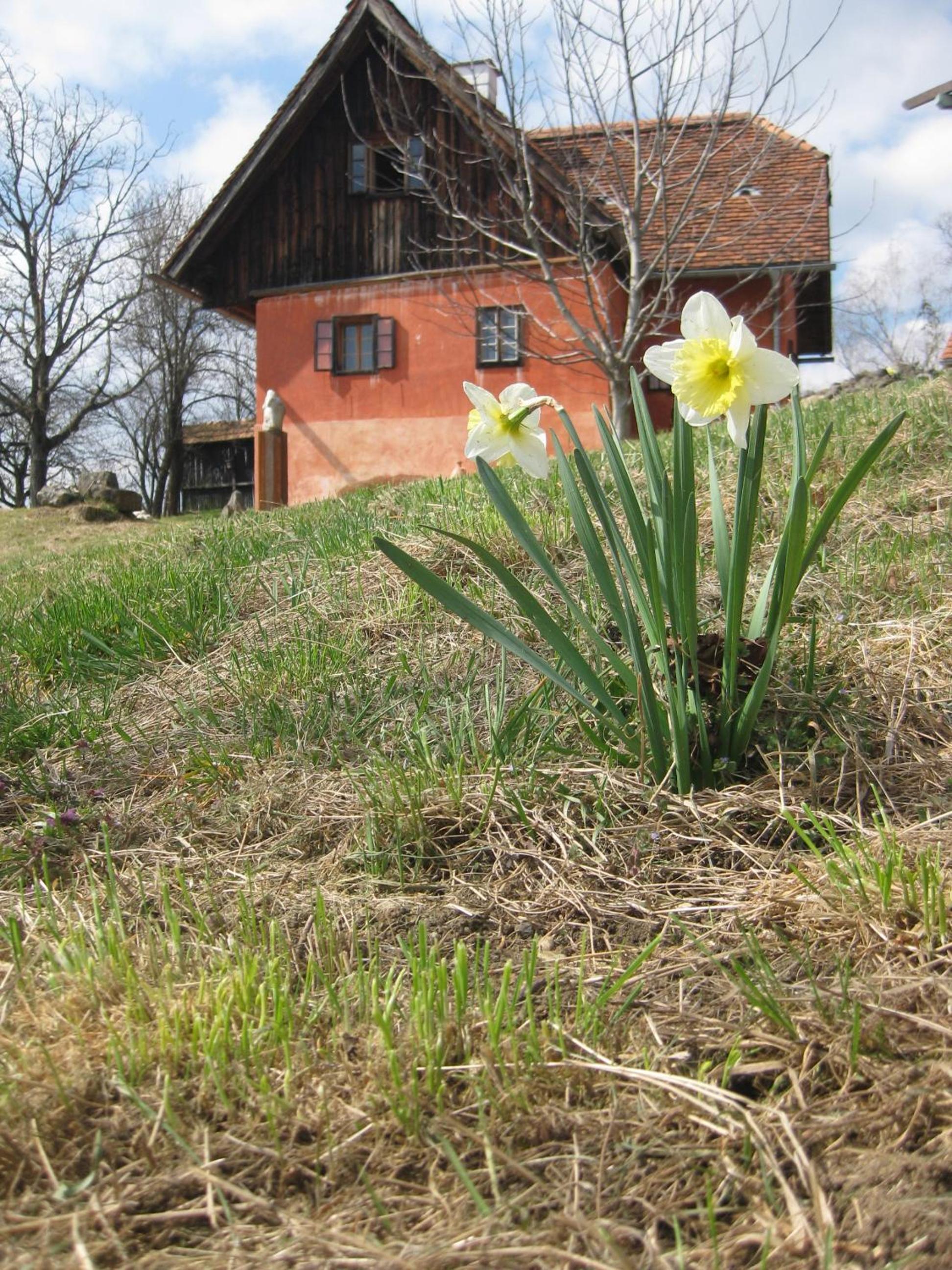 Photo 26