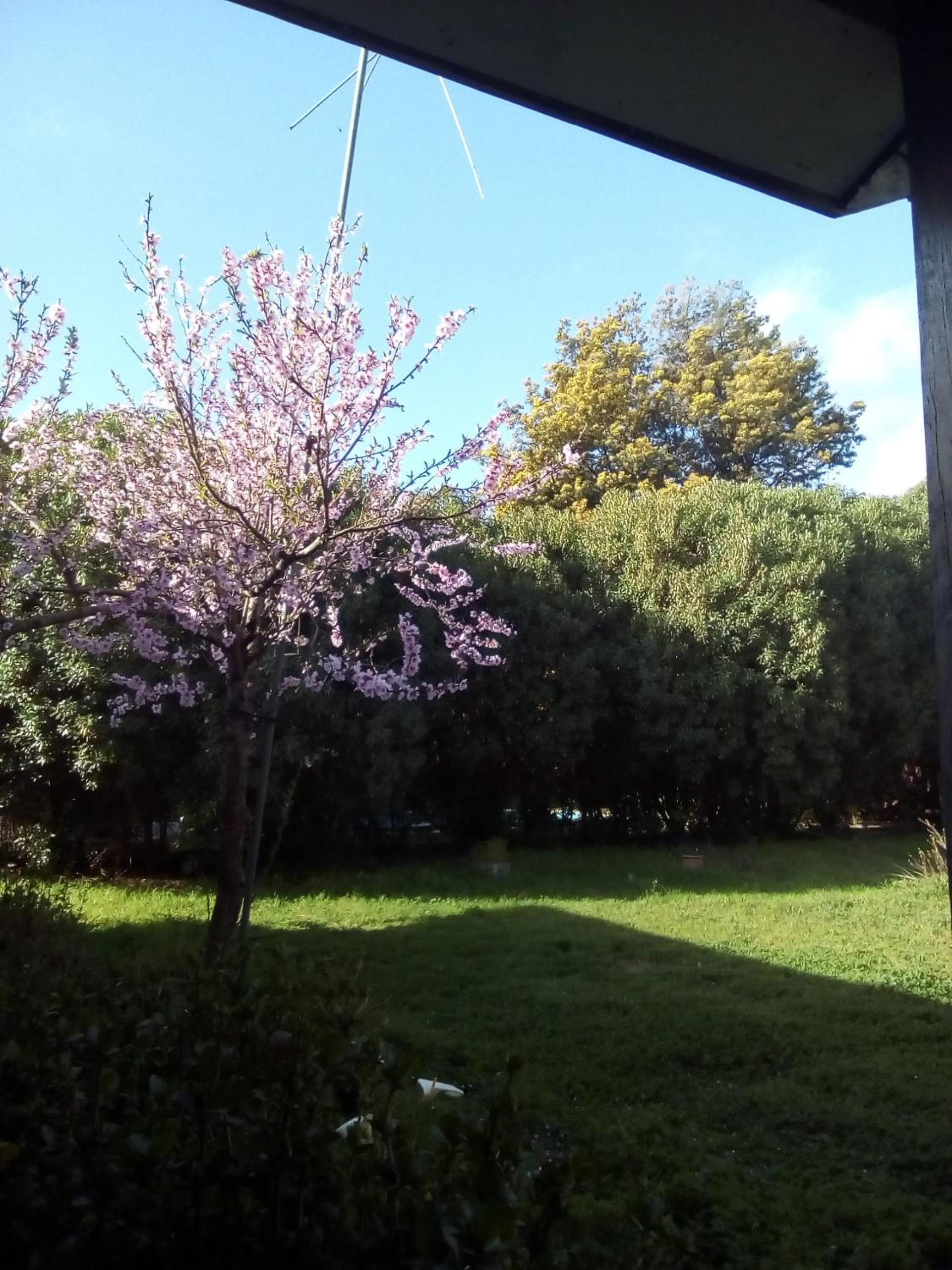 La Casa Vinilla
