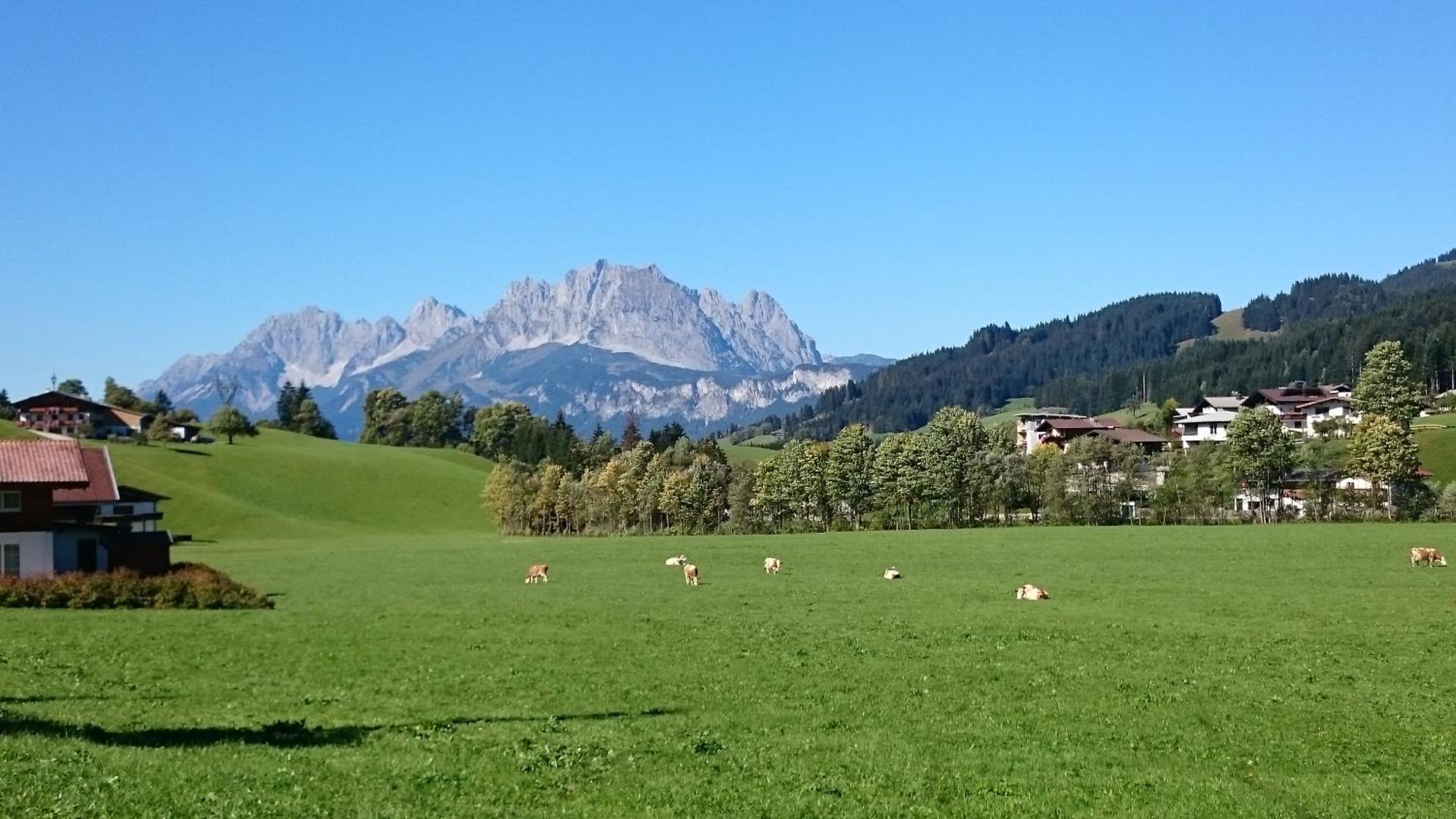 Bio-Bauernhof Niederlehen