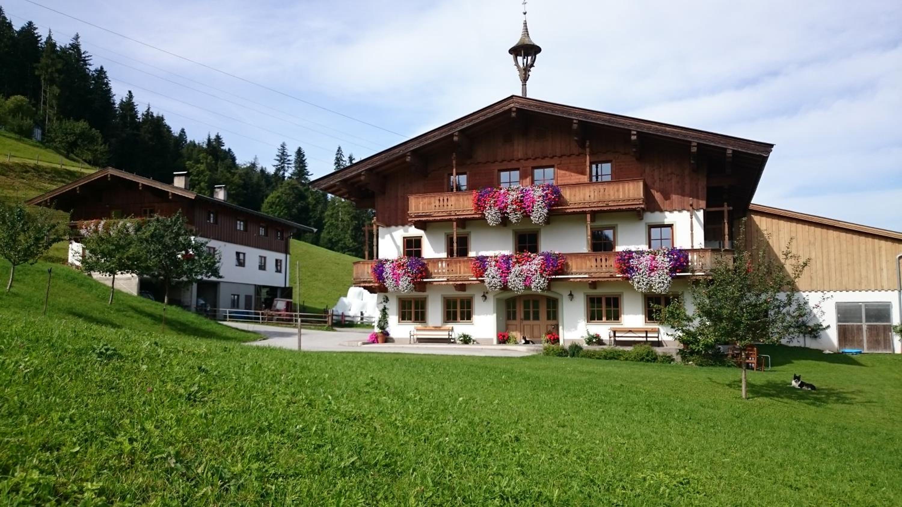 Bio-Bauernhof Niederlehen