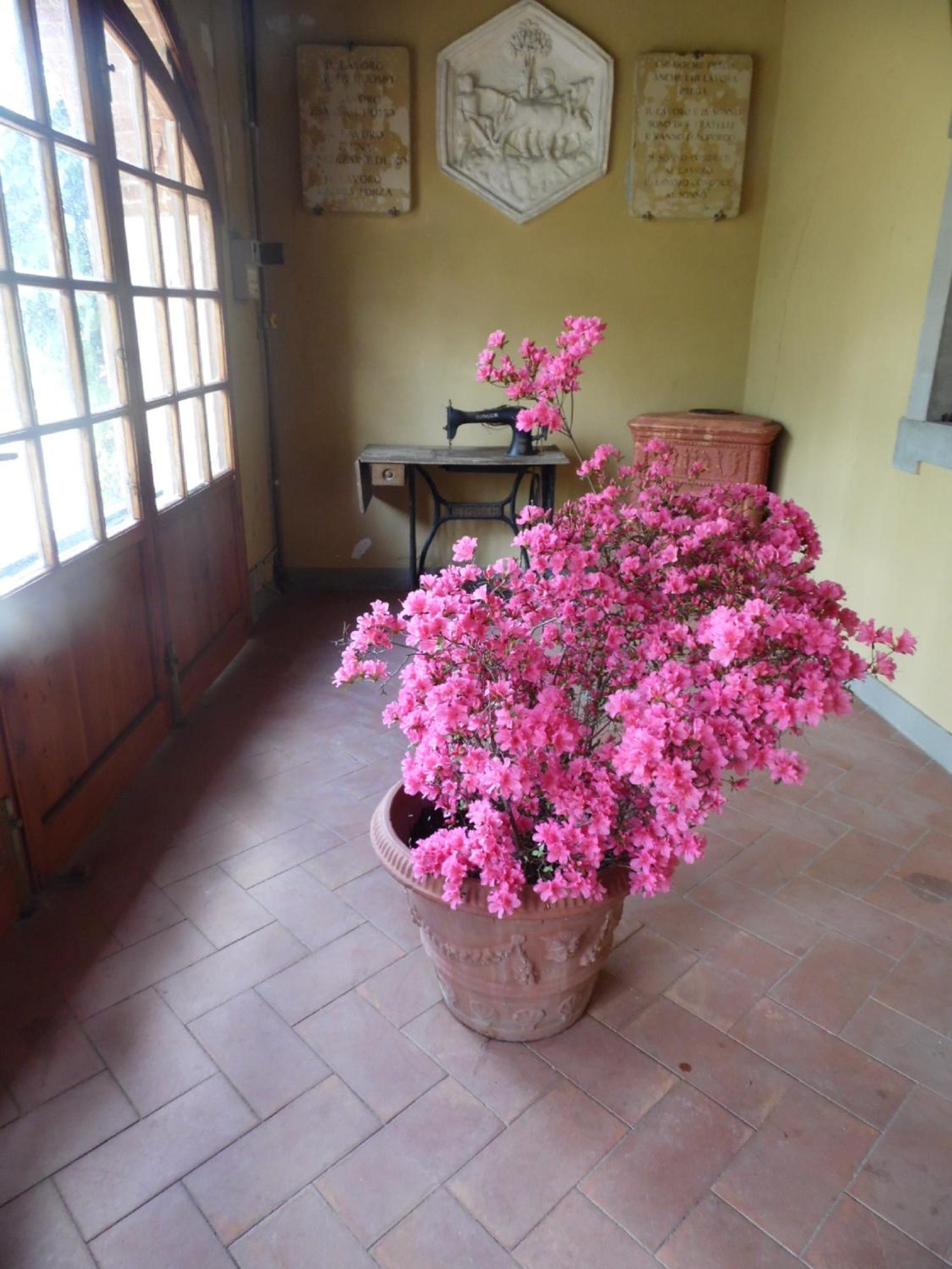 Villa Francesca