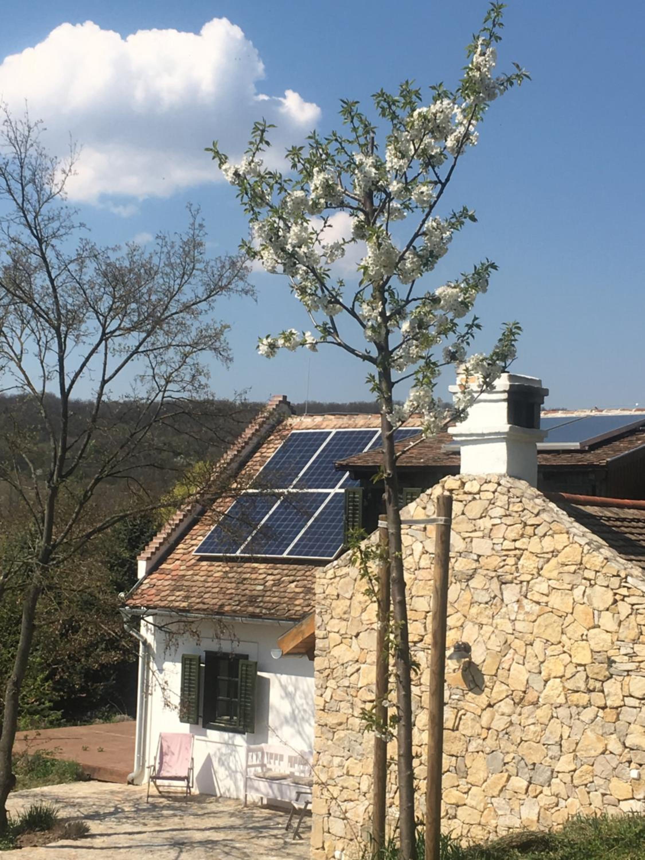 Henye holiday homes view 4