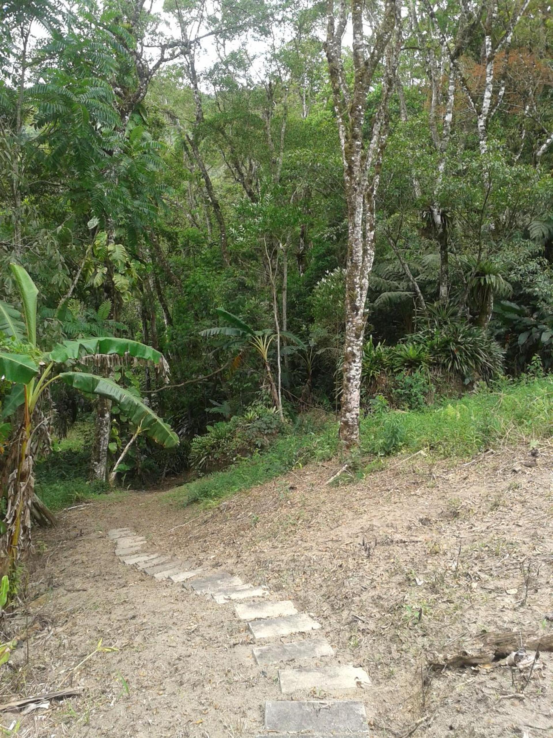 children's play area