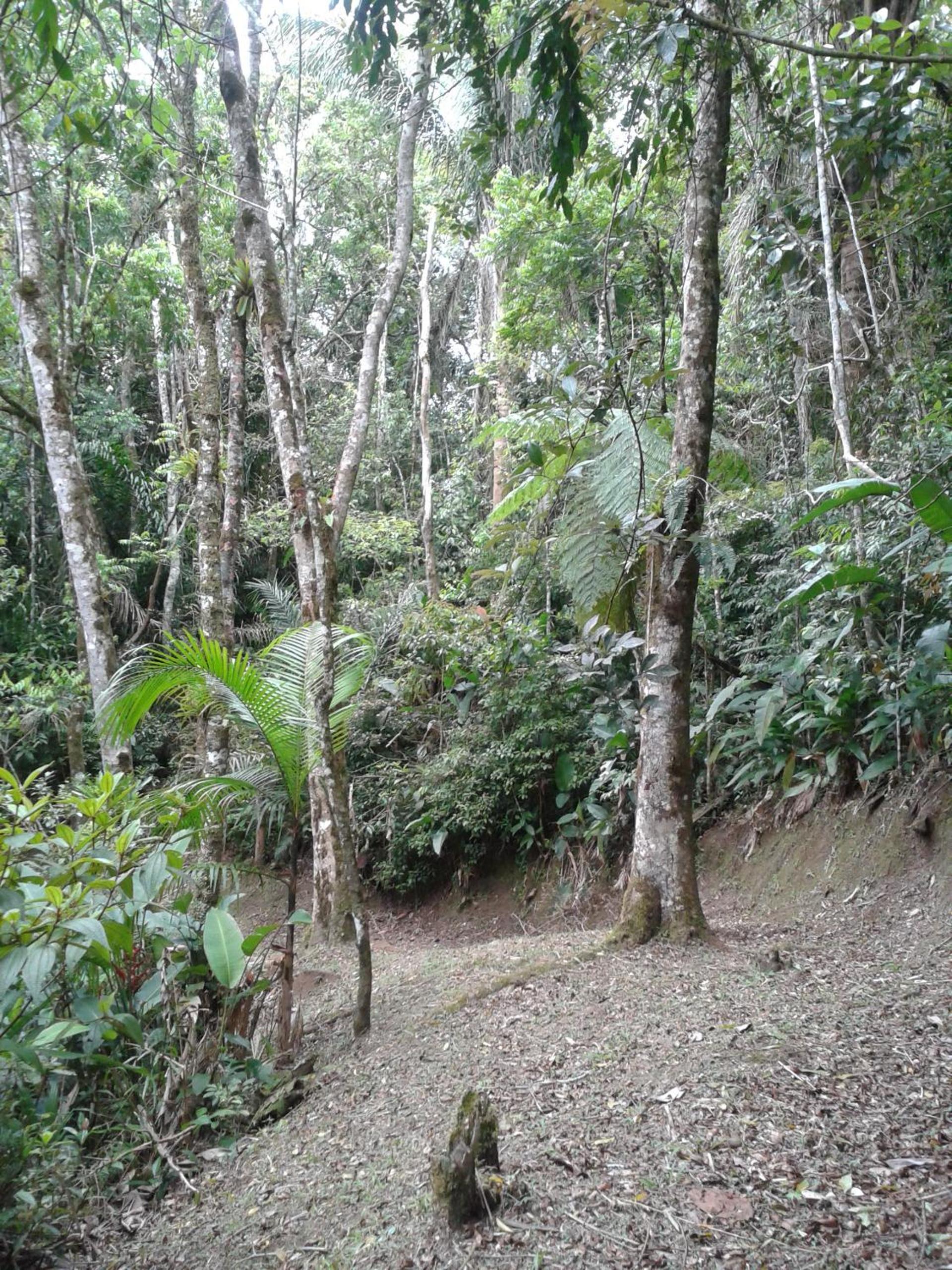 children's play area