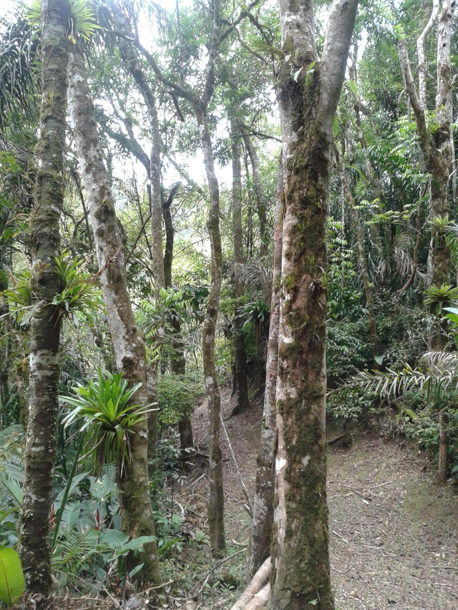 children's play area