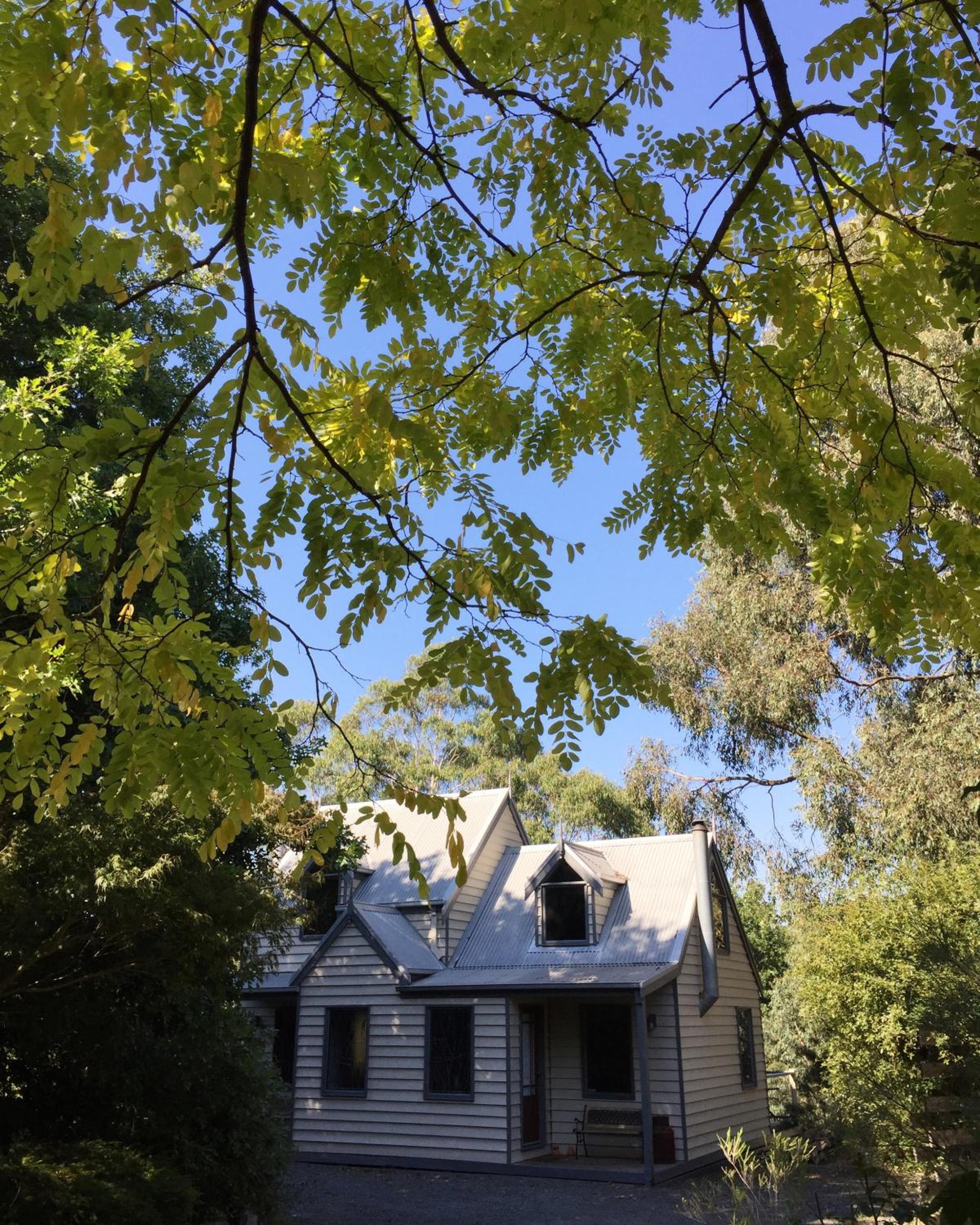 Photo 48
