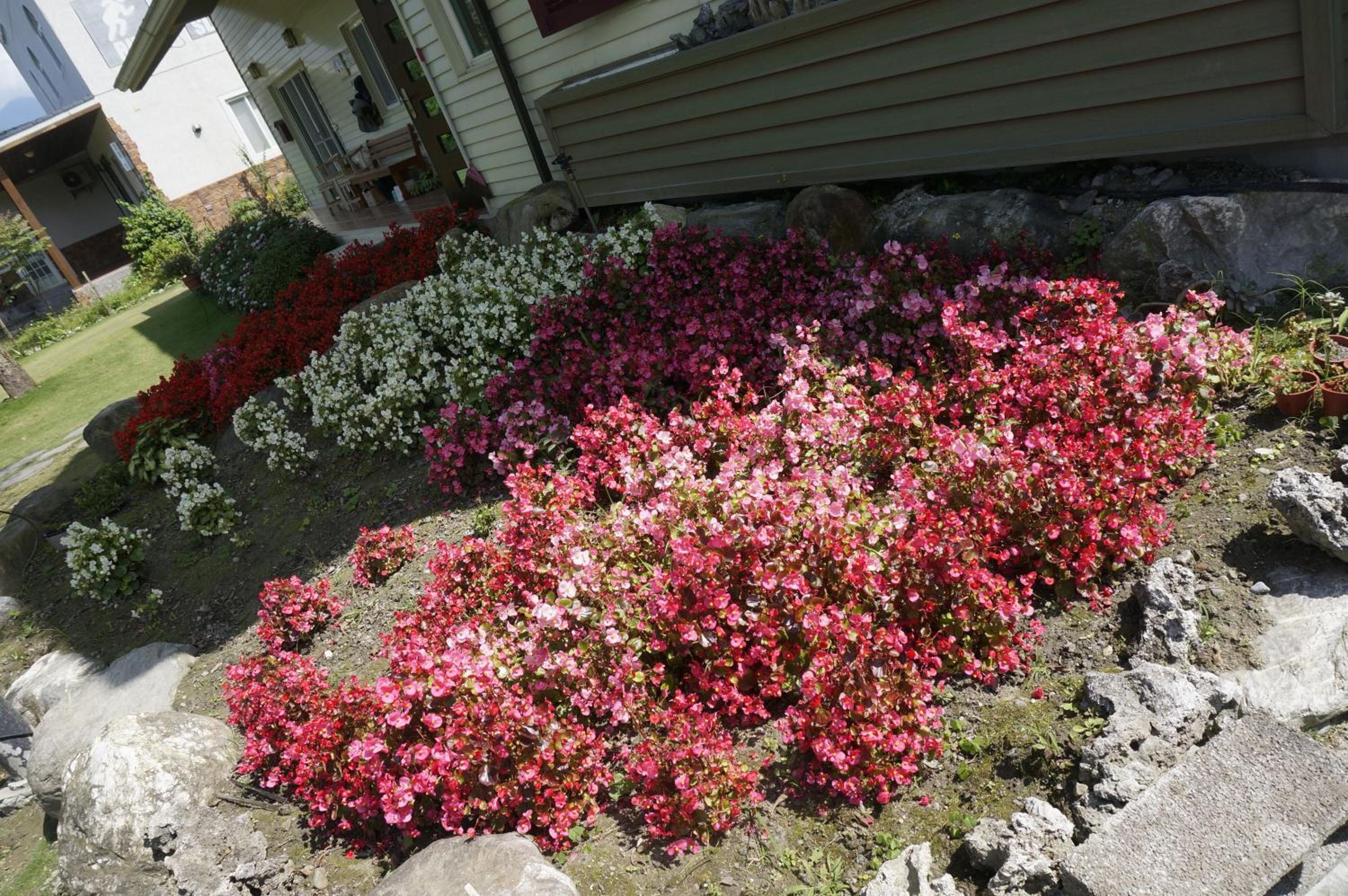 Photo 45