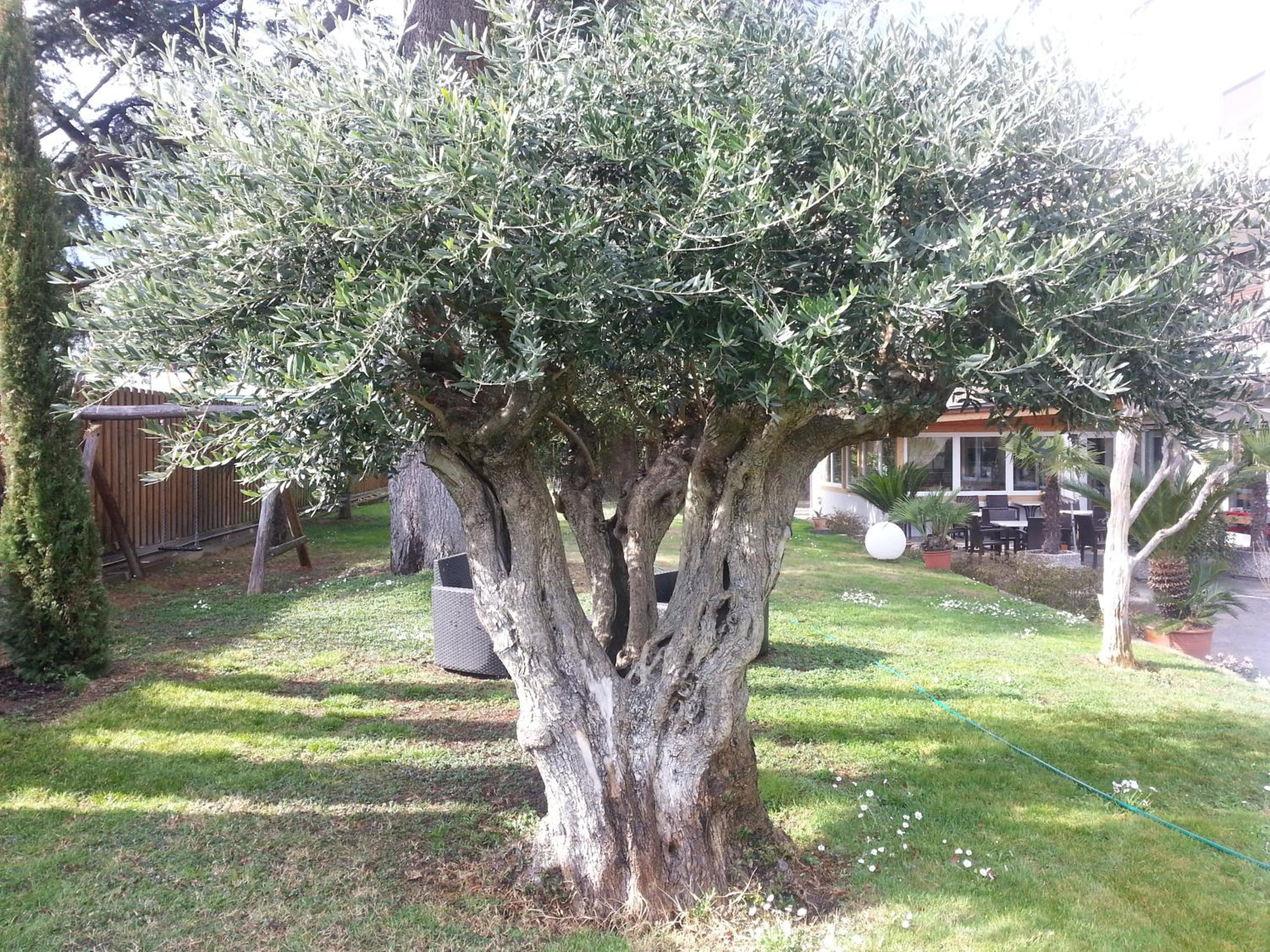 Photo 41