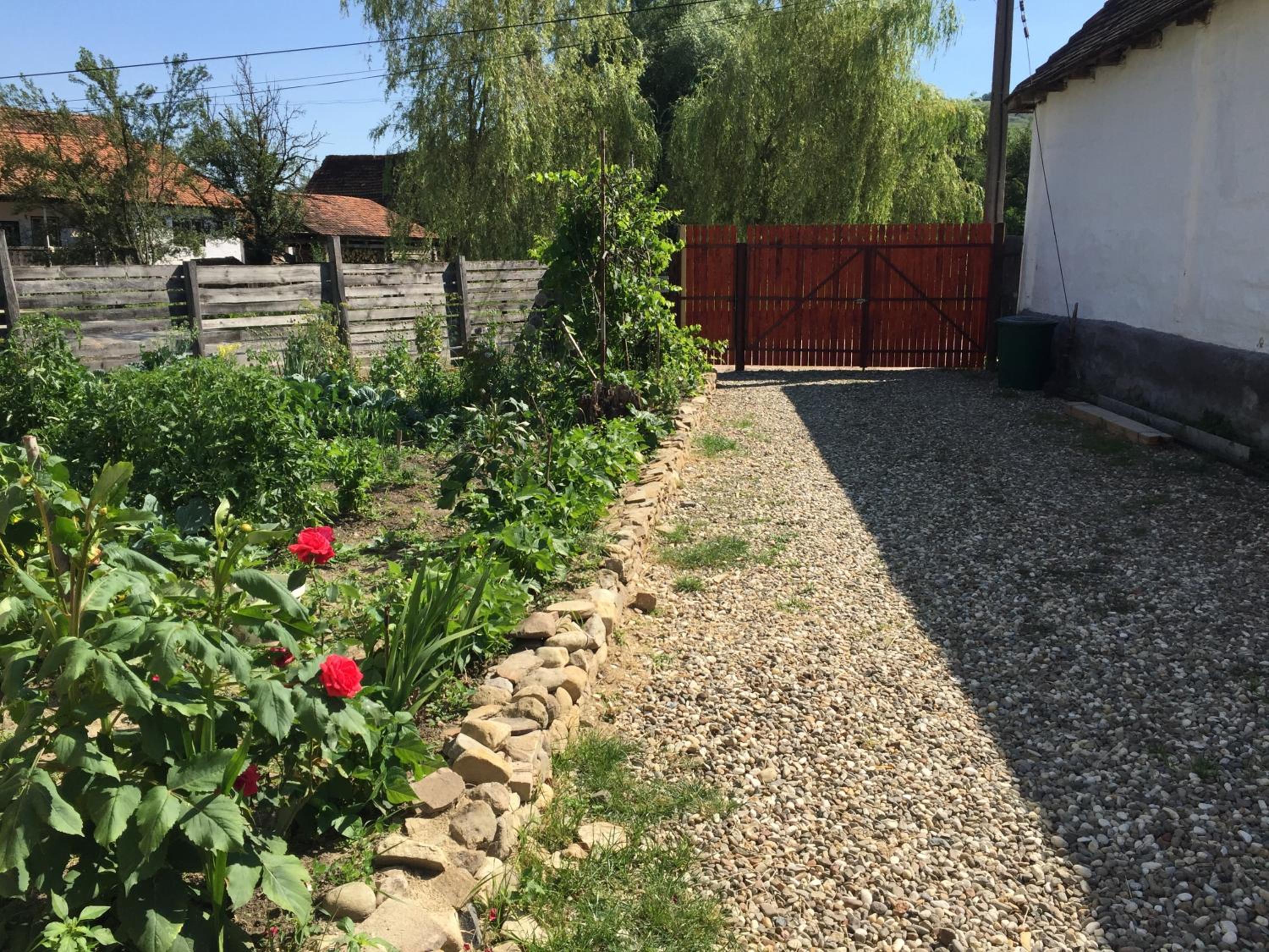 Photo 44