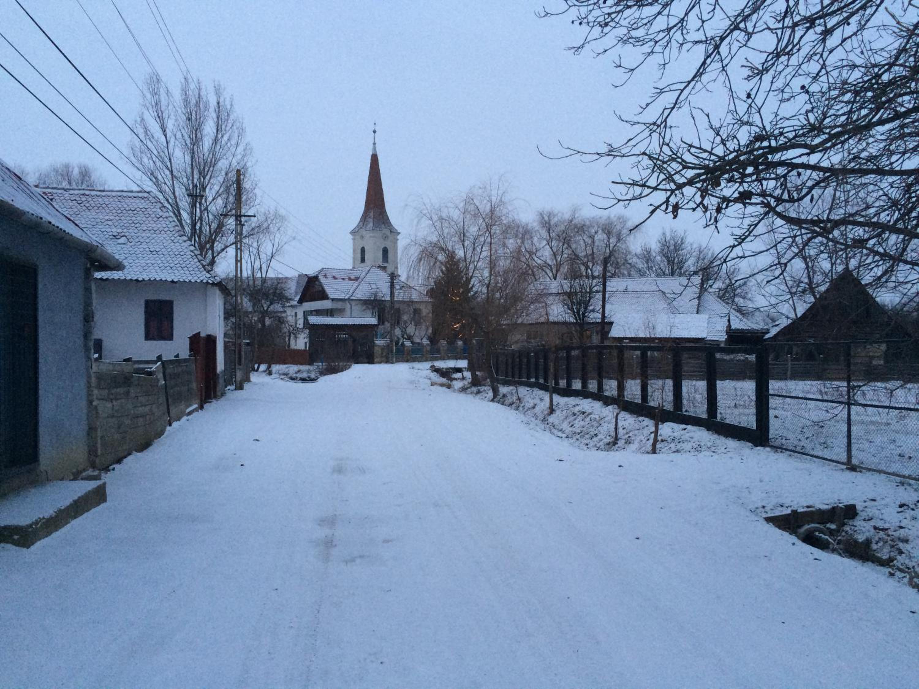 Photo 49