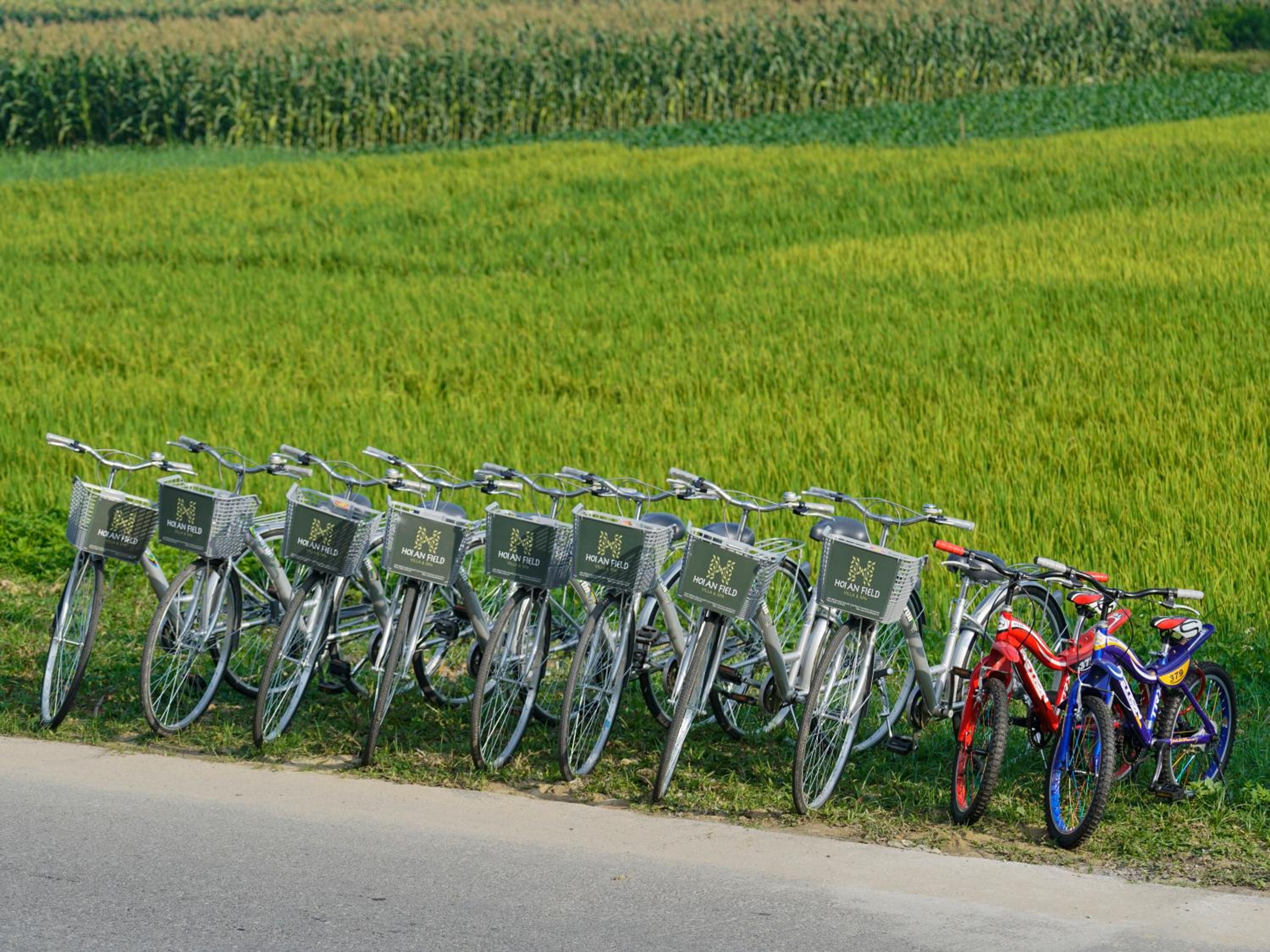 Hoi An Field Boutique Resort & Spa