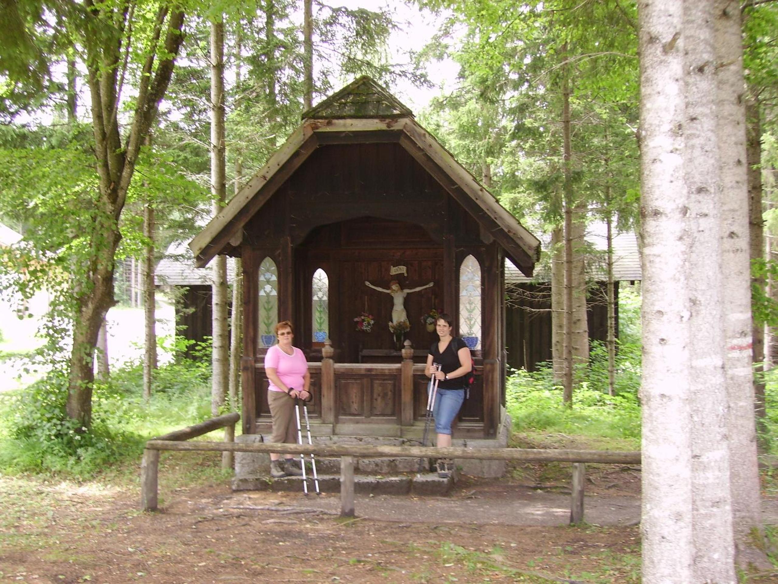 Wolfs Revier