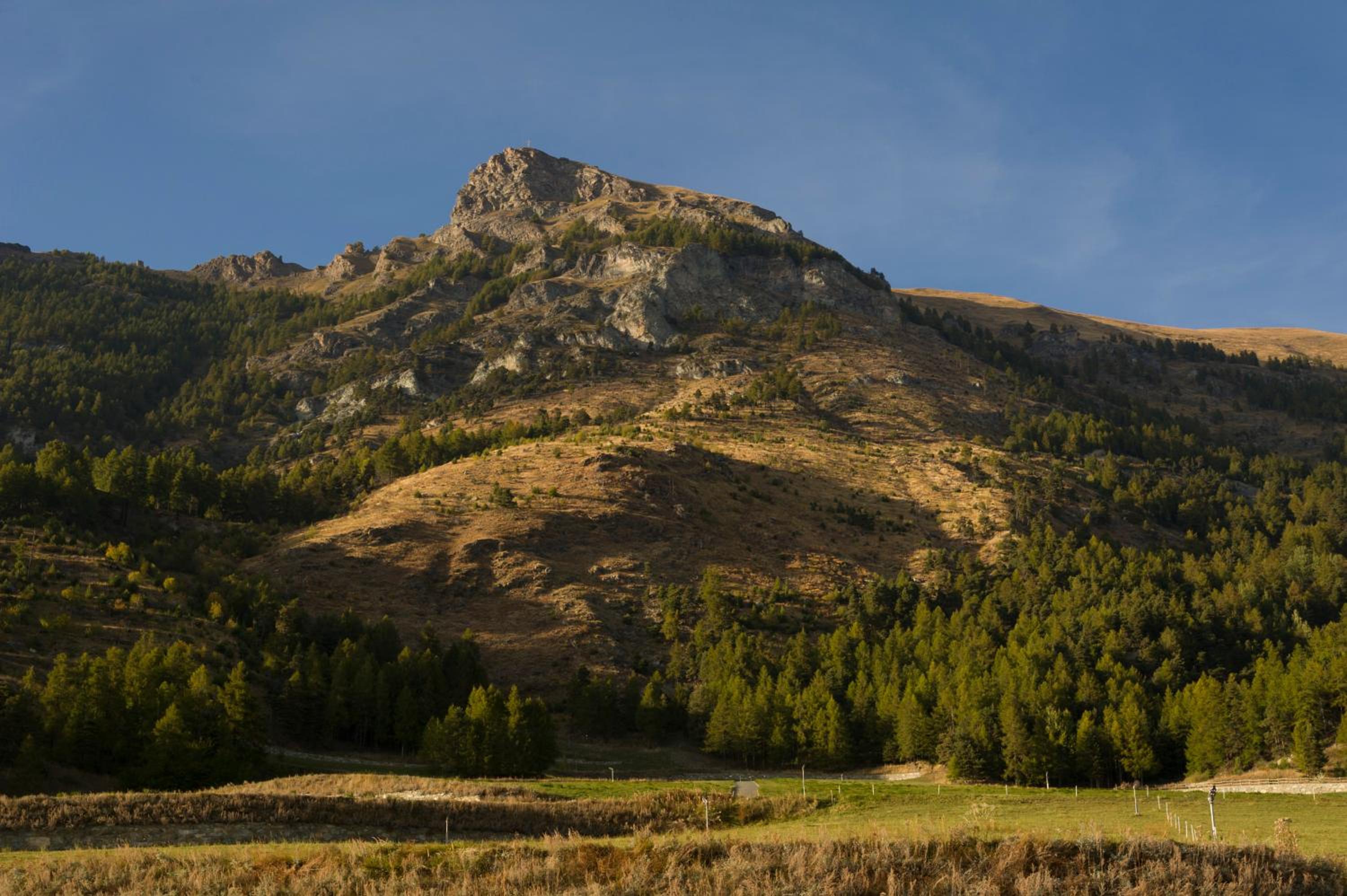 Photo 22