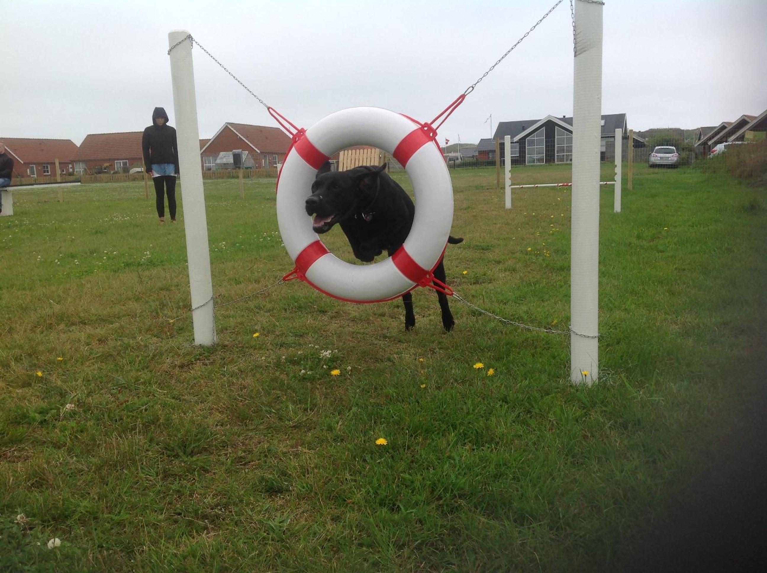 Photo 21
