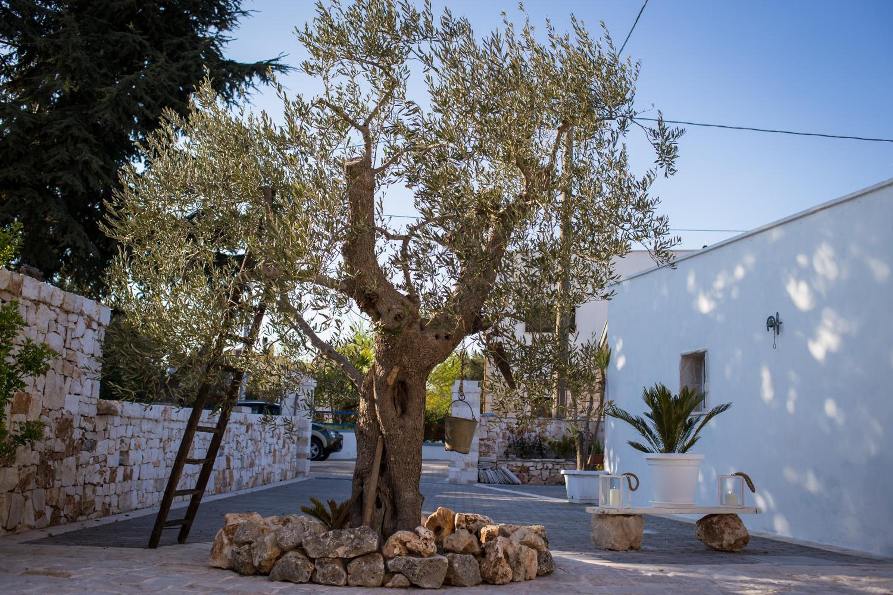 Trullo del Sorriso view 5