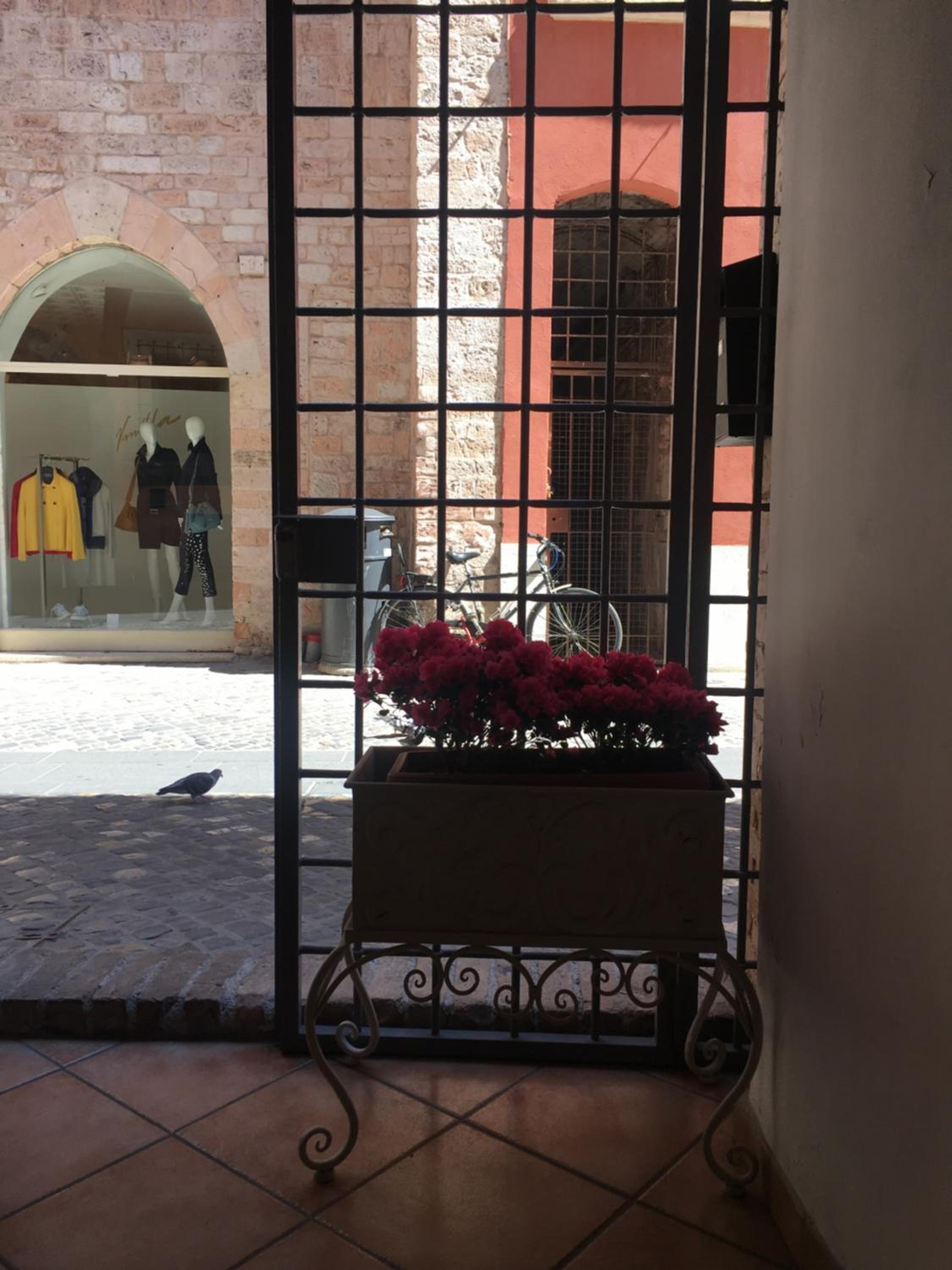 Affittacamere Arco Polinori