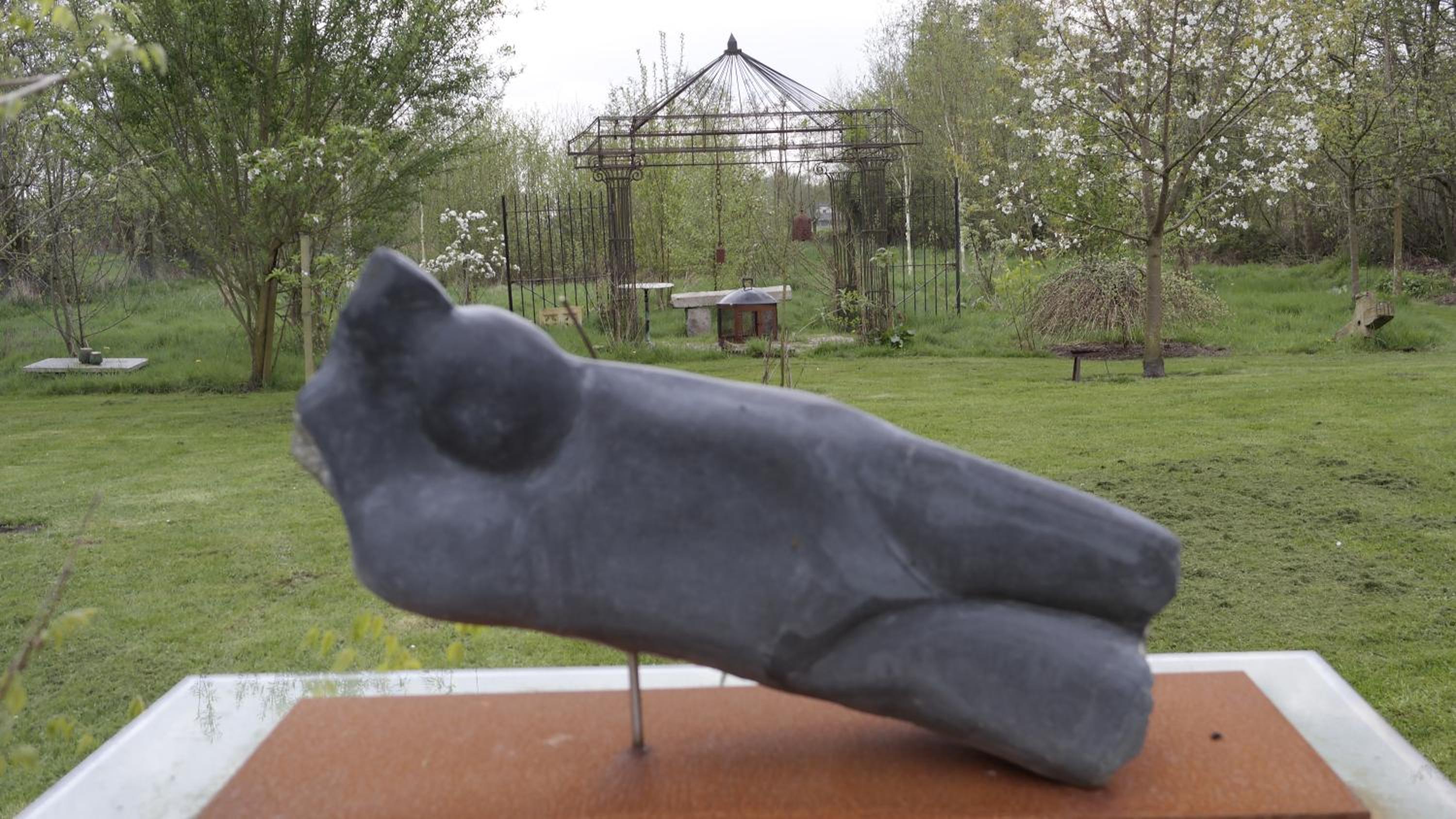 Photo 14