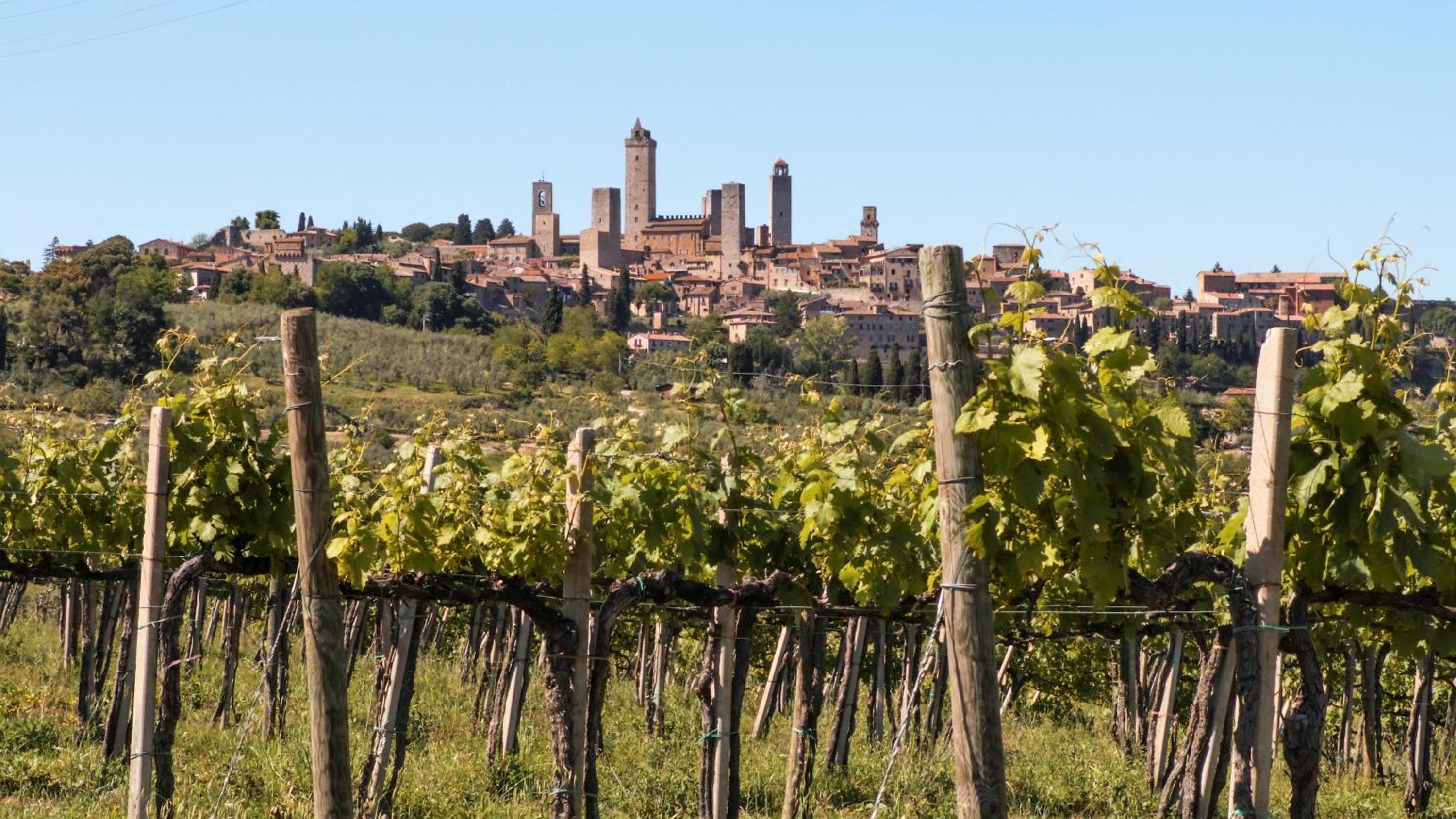 Fattoria Abbazia Monte Oliveto