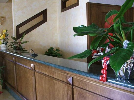 Hotel Valeria photo 3