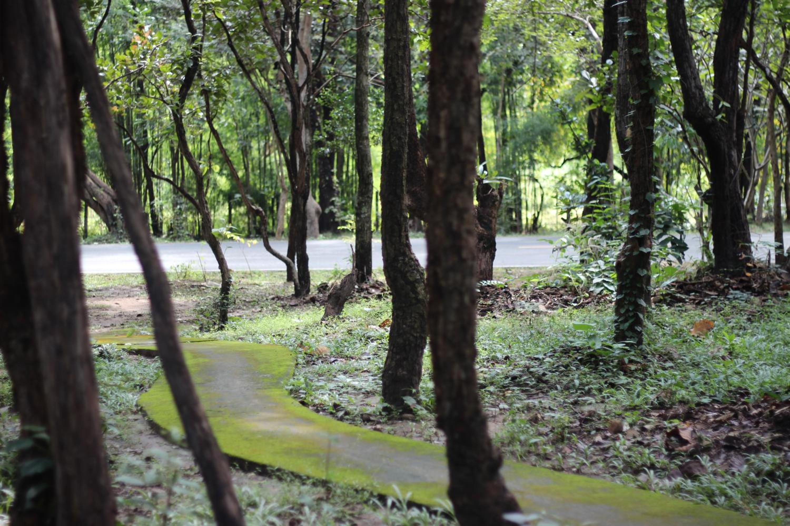 Foresta Villa