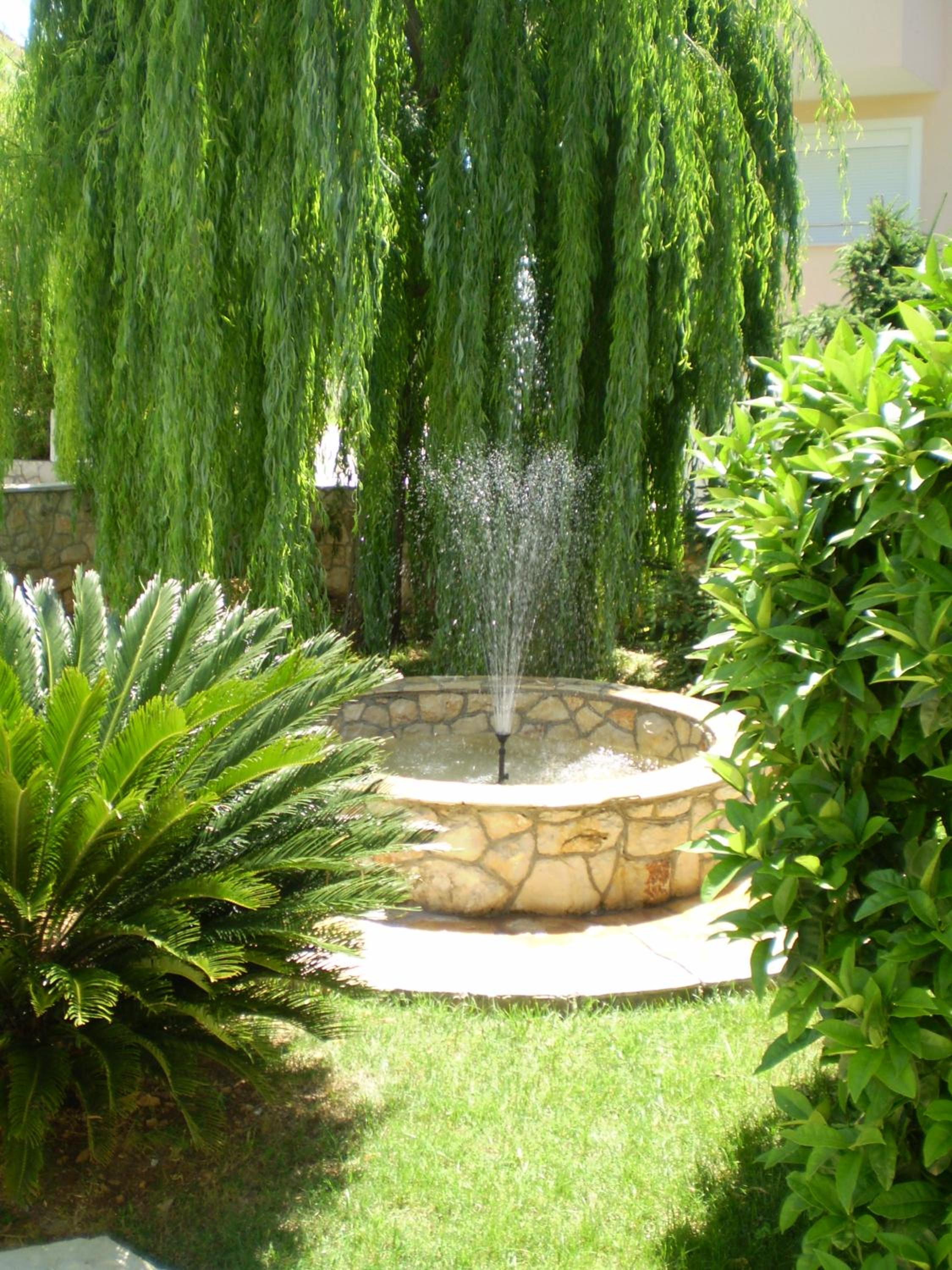 Photo 35