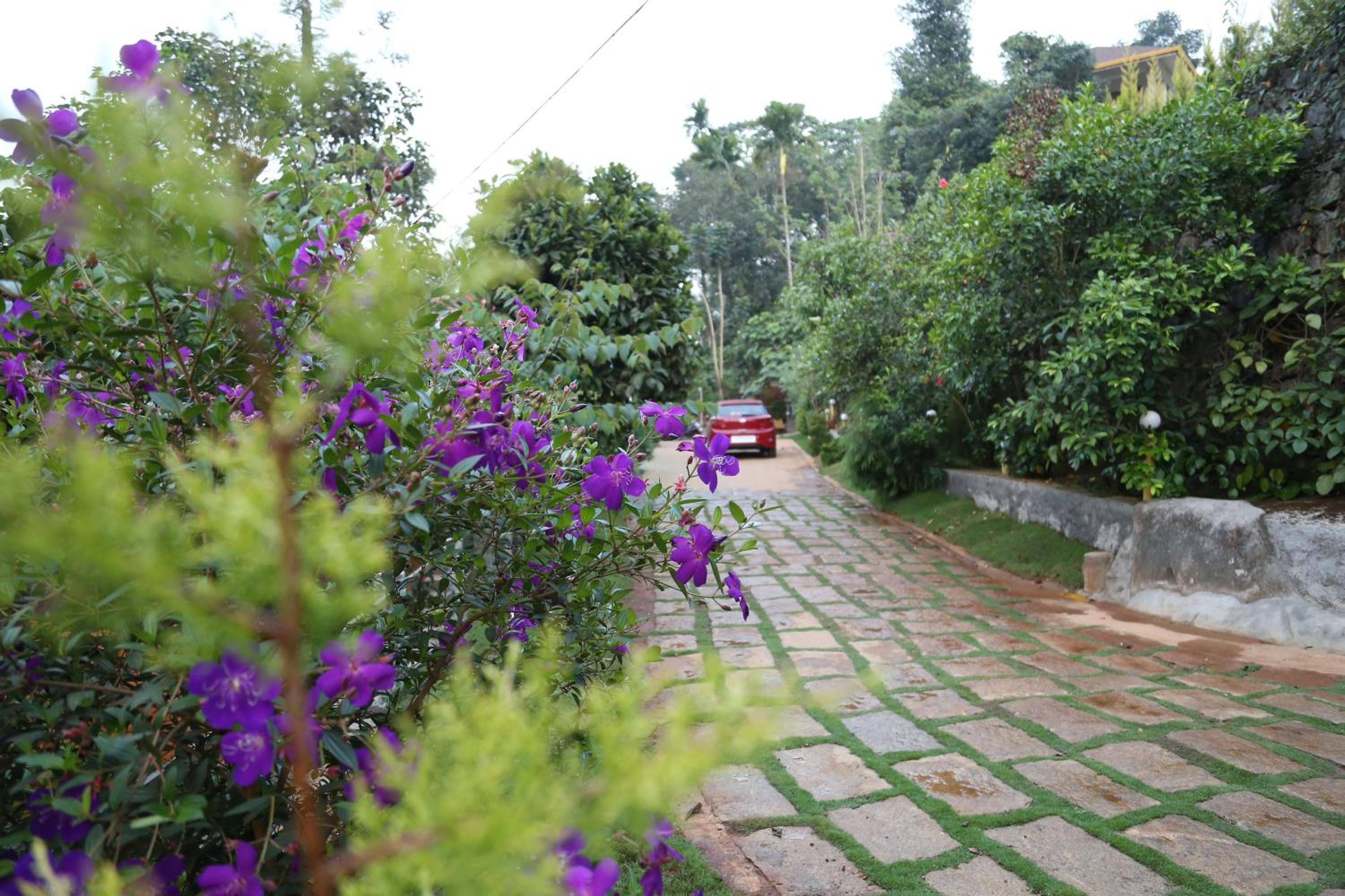Photo 29