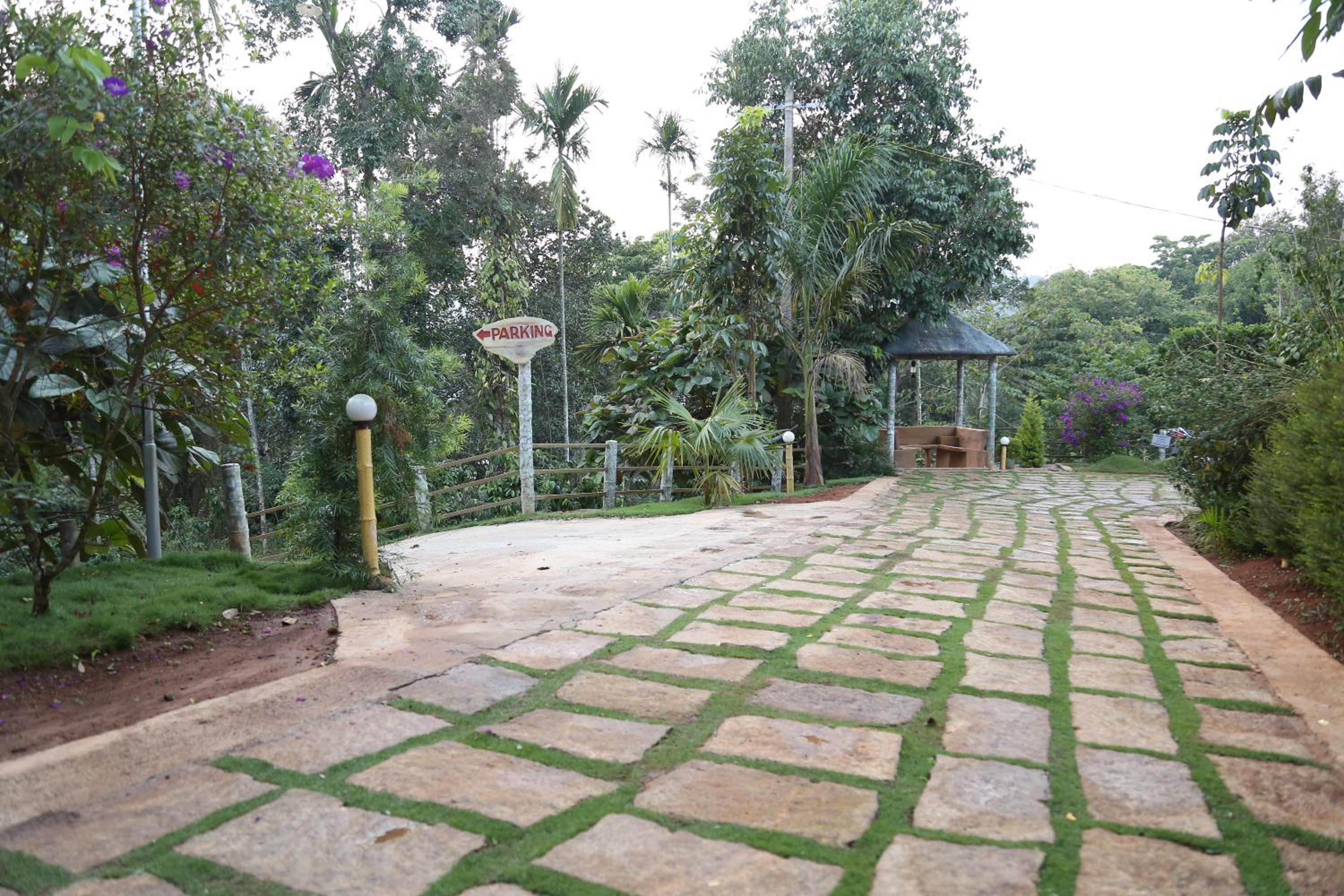 Photo 28