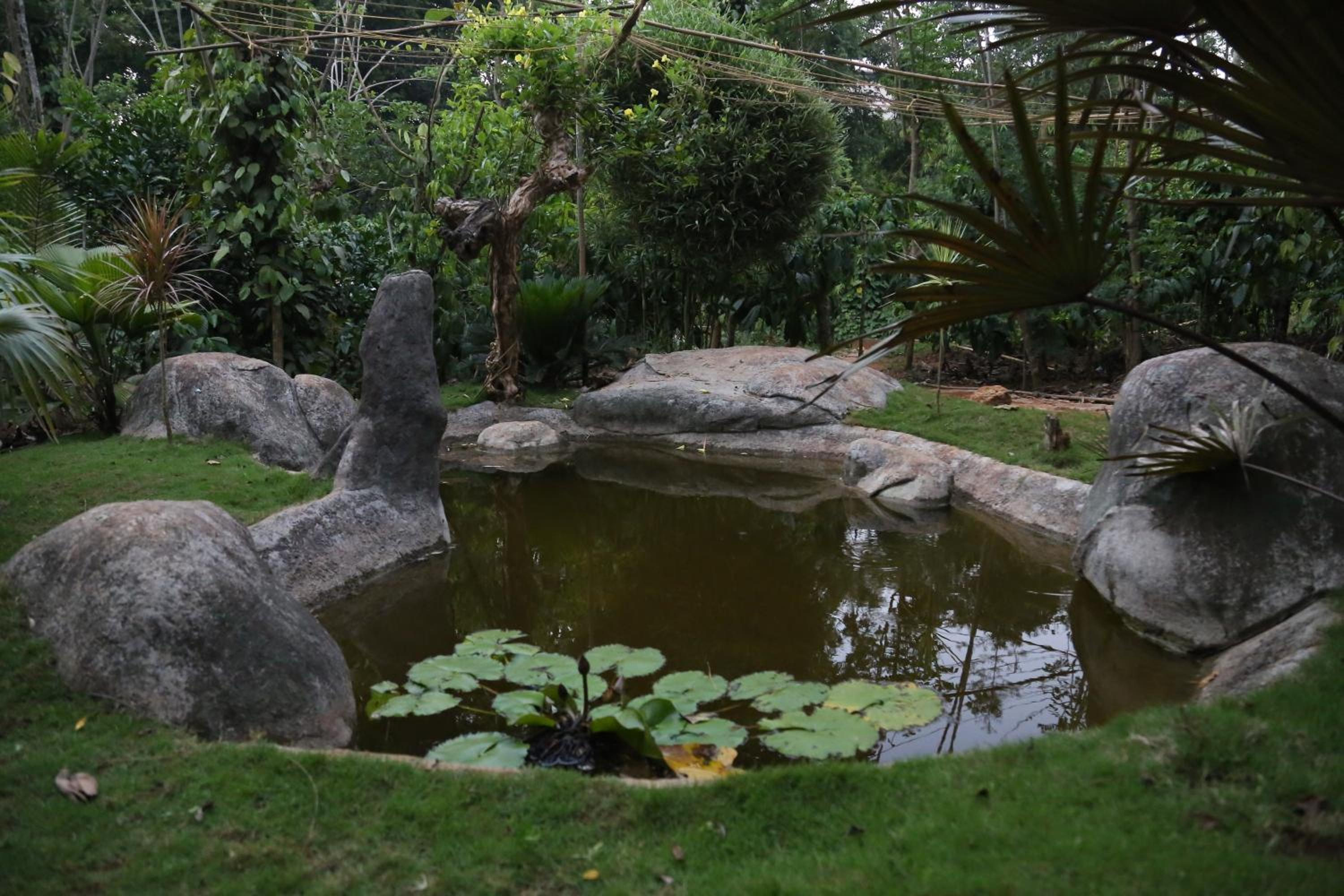 Photo 19