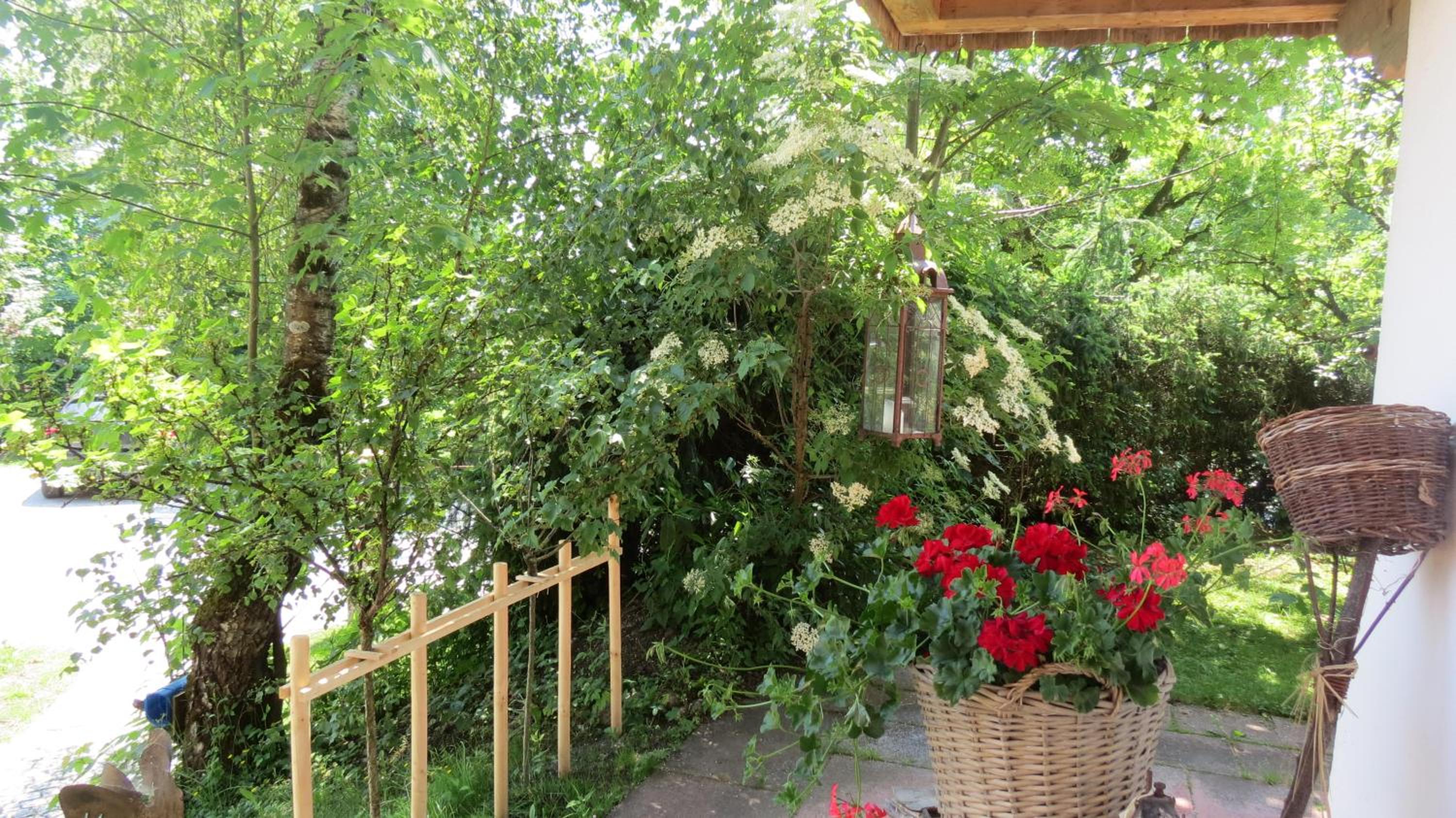 Photo 52