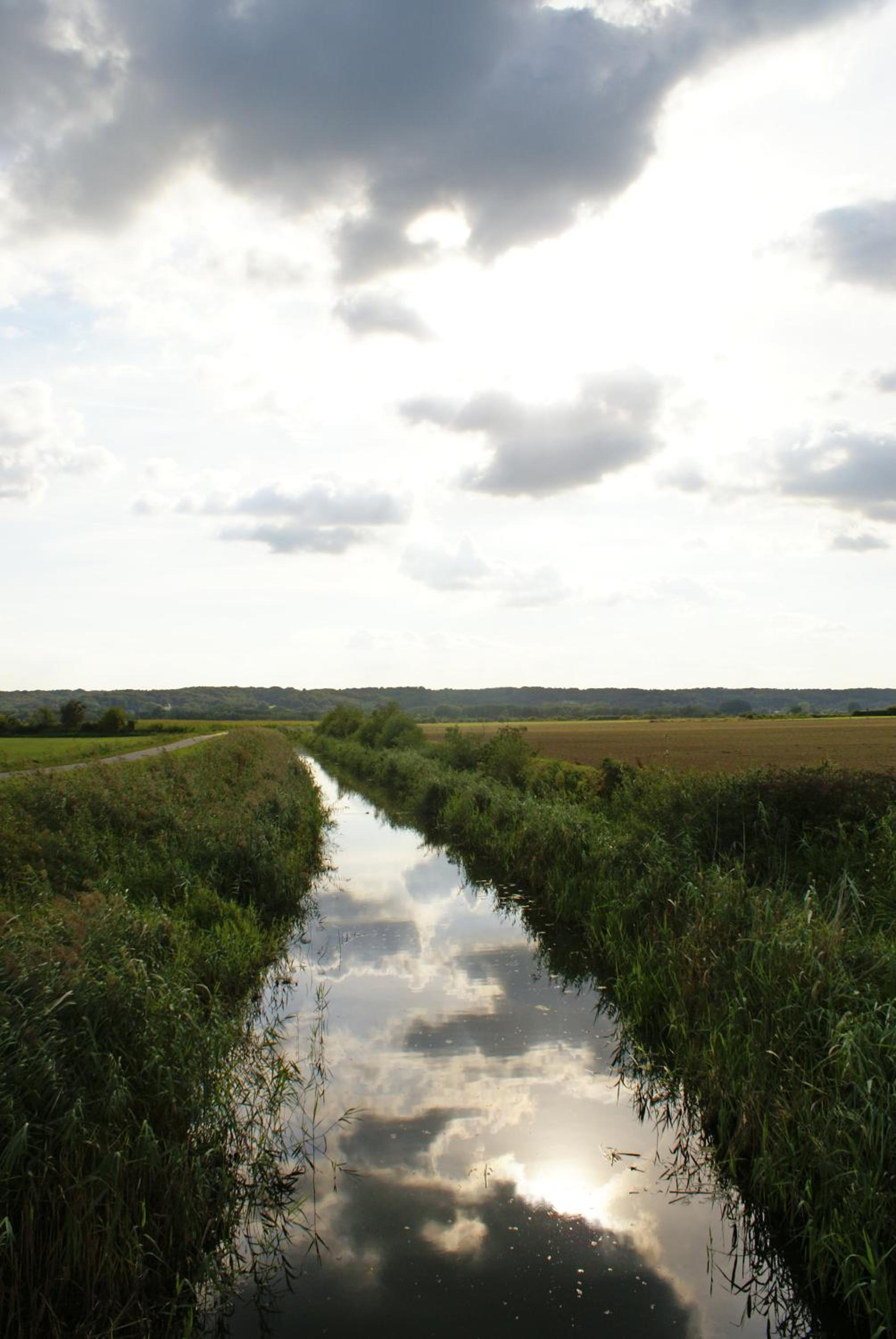 Photo 34