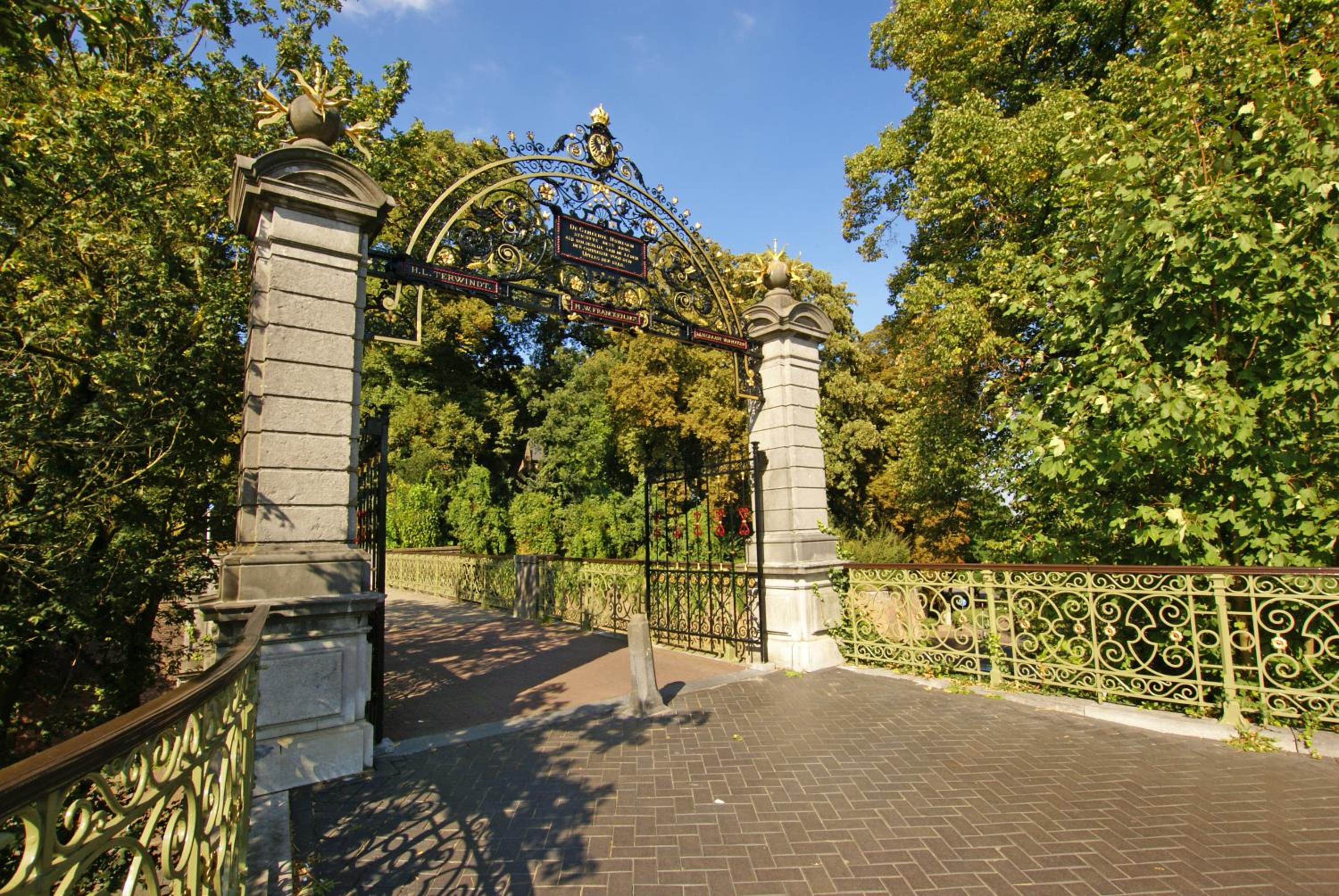 Photo 41