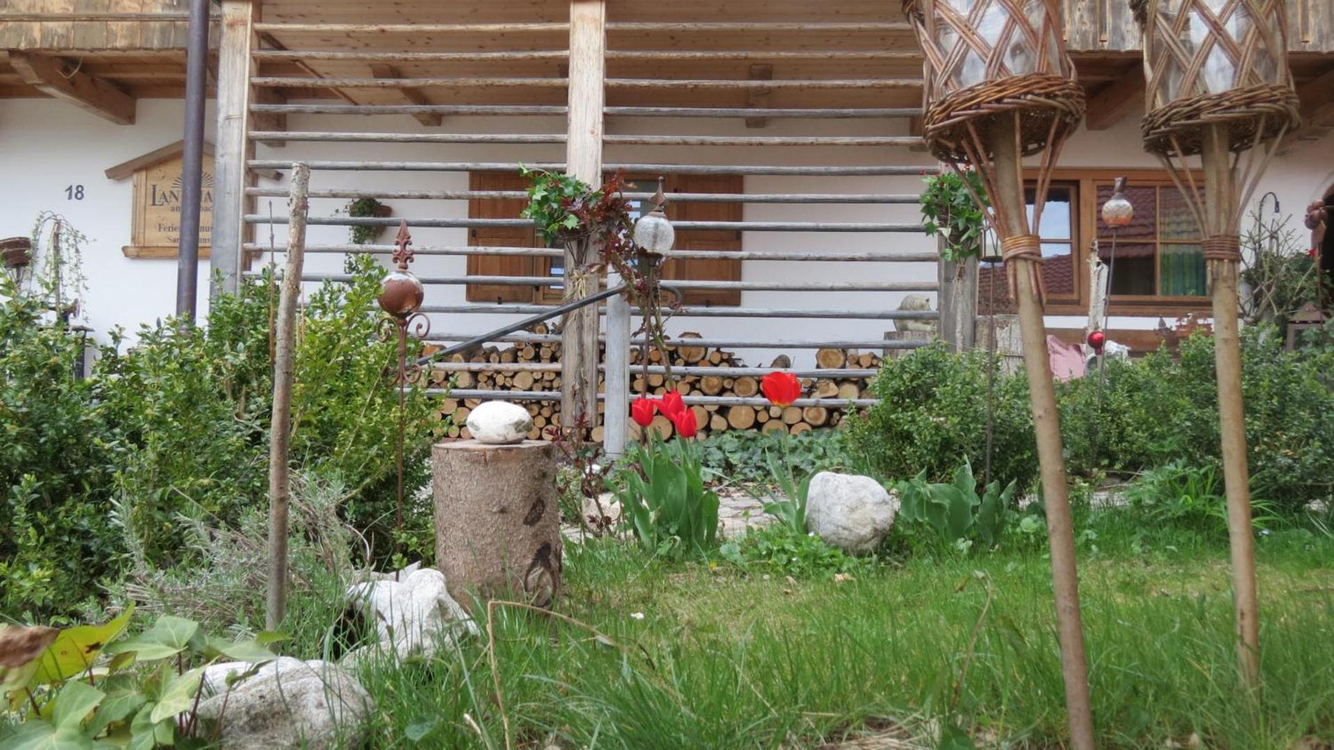 Photo 45