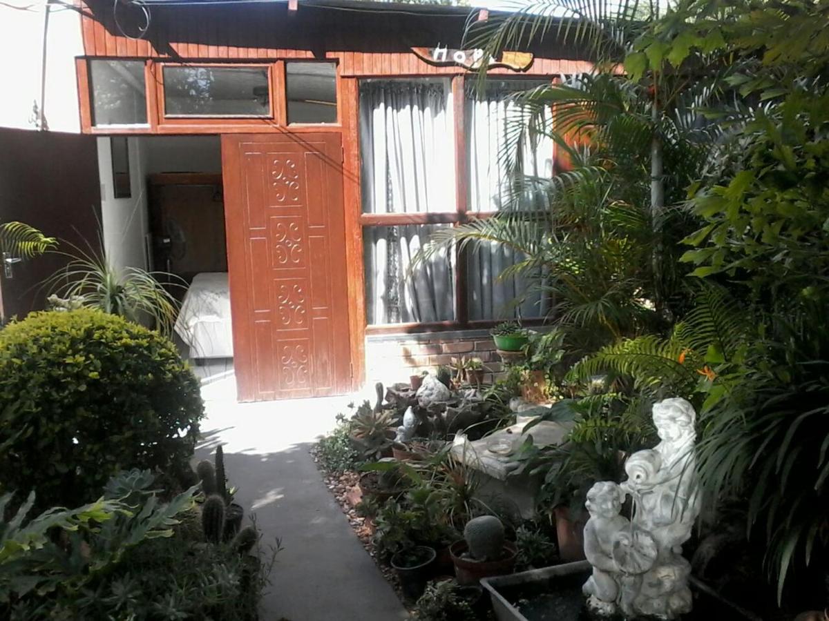Photo 16