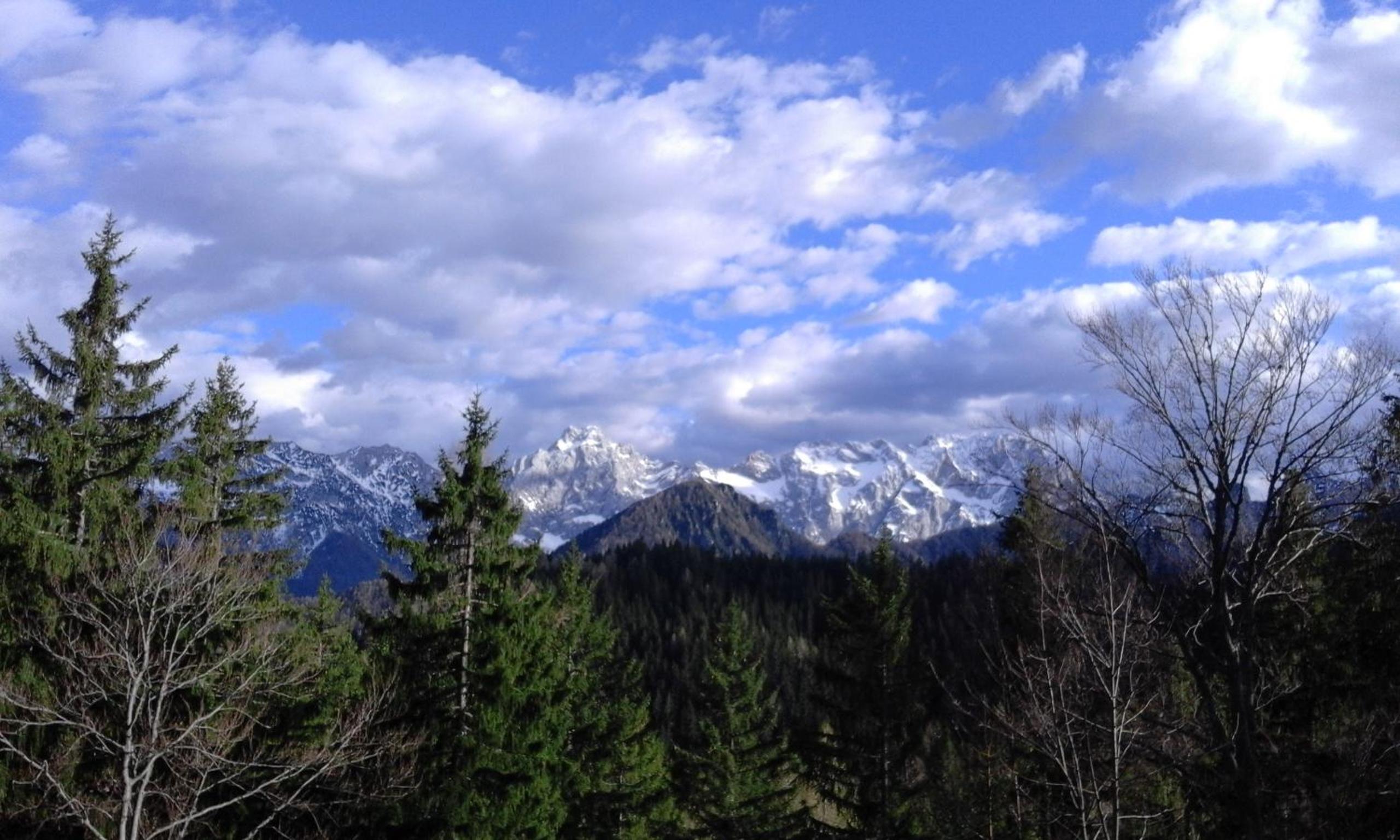 Photo 33