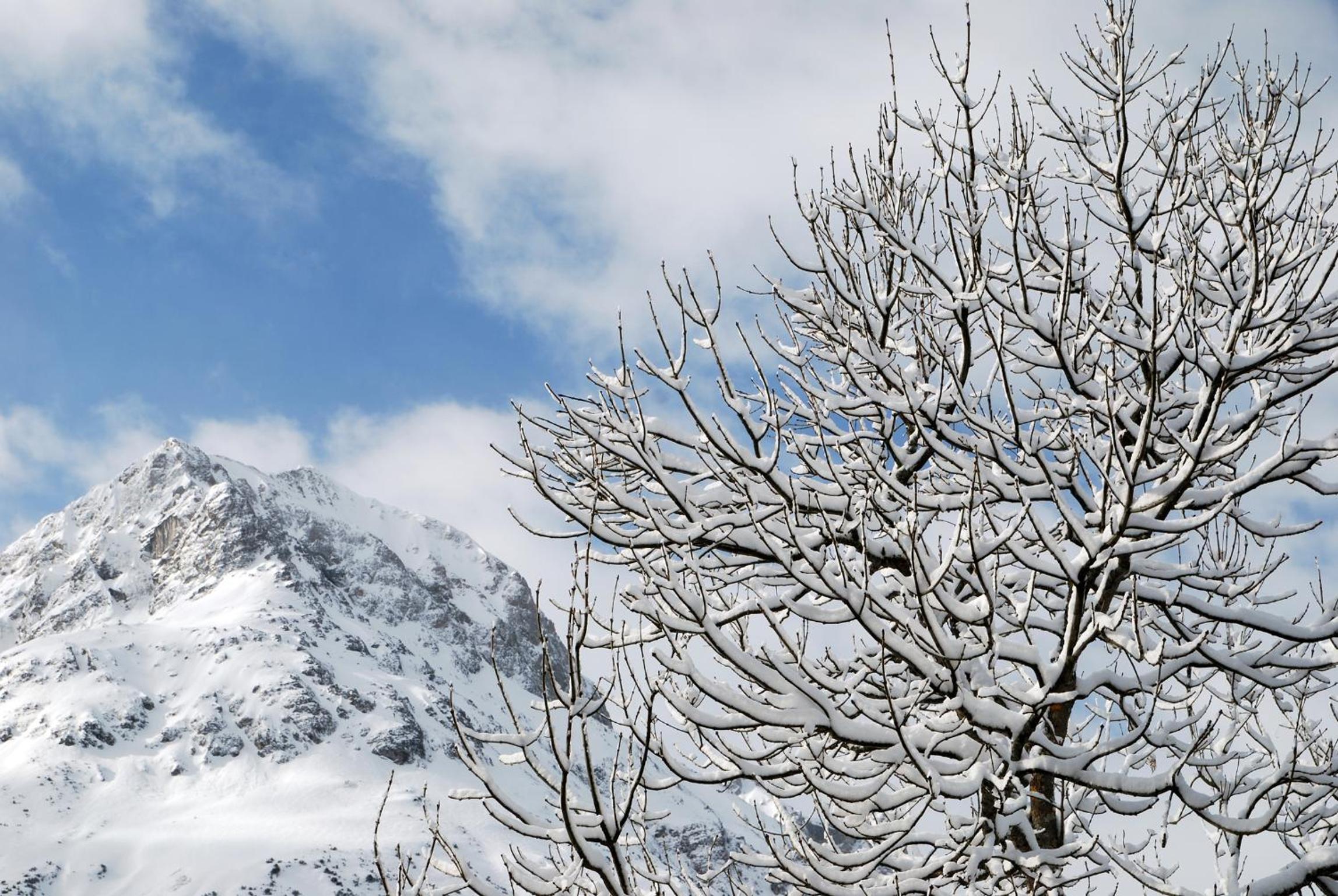 Pension Alpenfluh