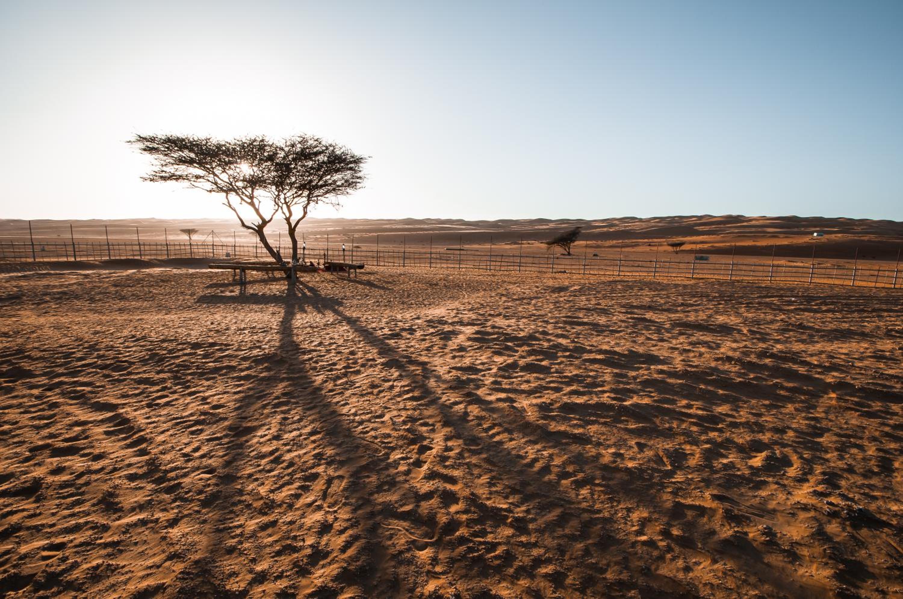 Sama al Wasil Desert Camp