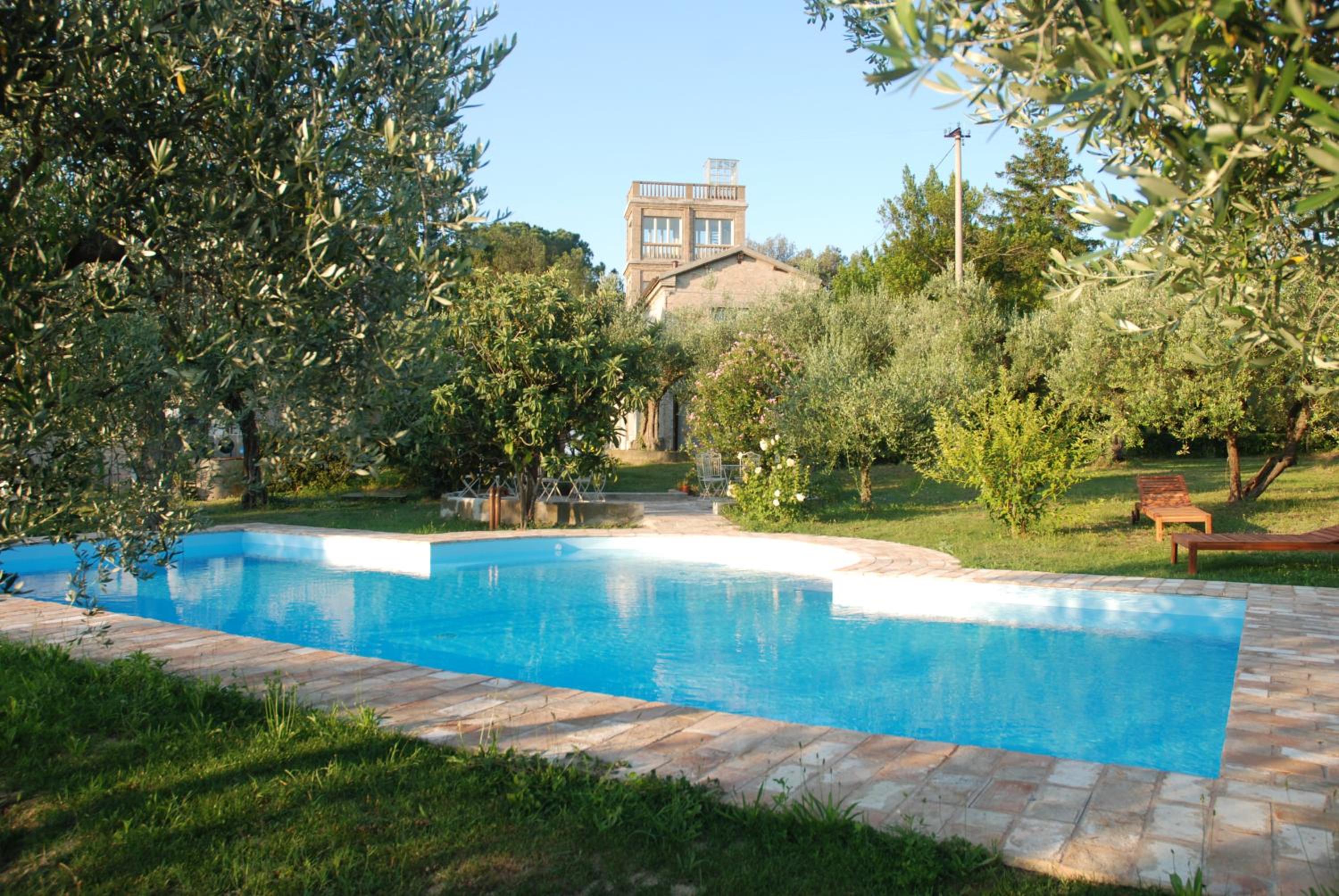 Photo 41