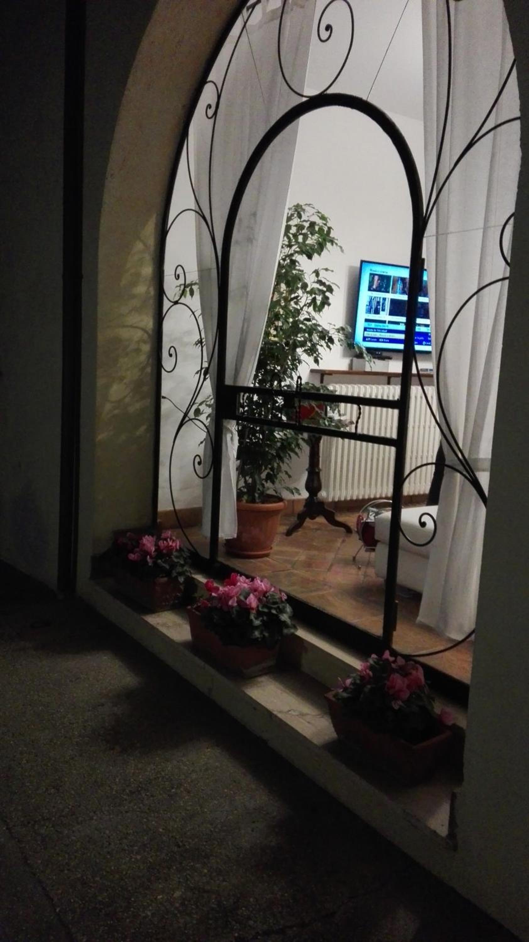 Photo 46