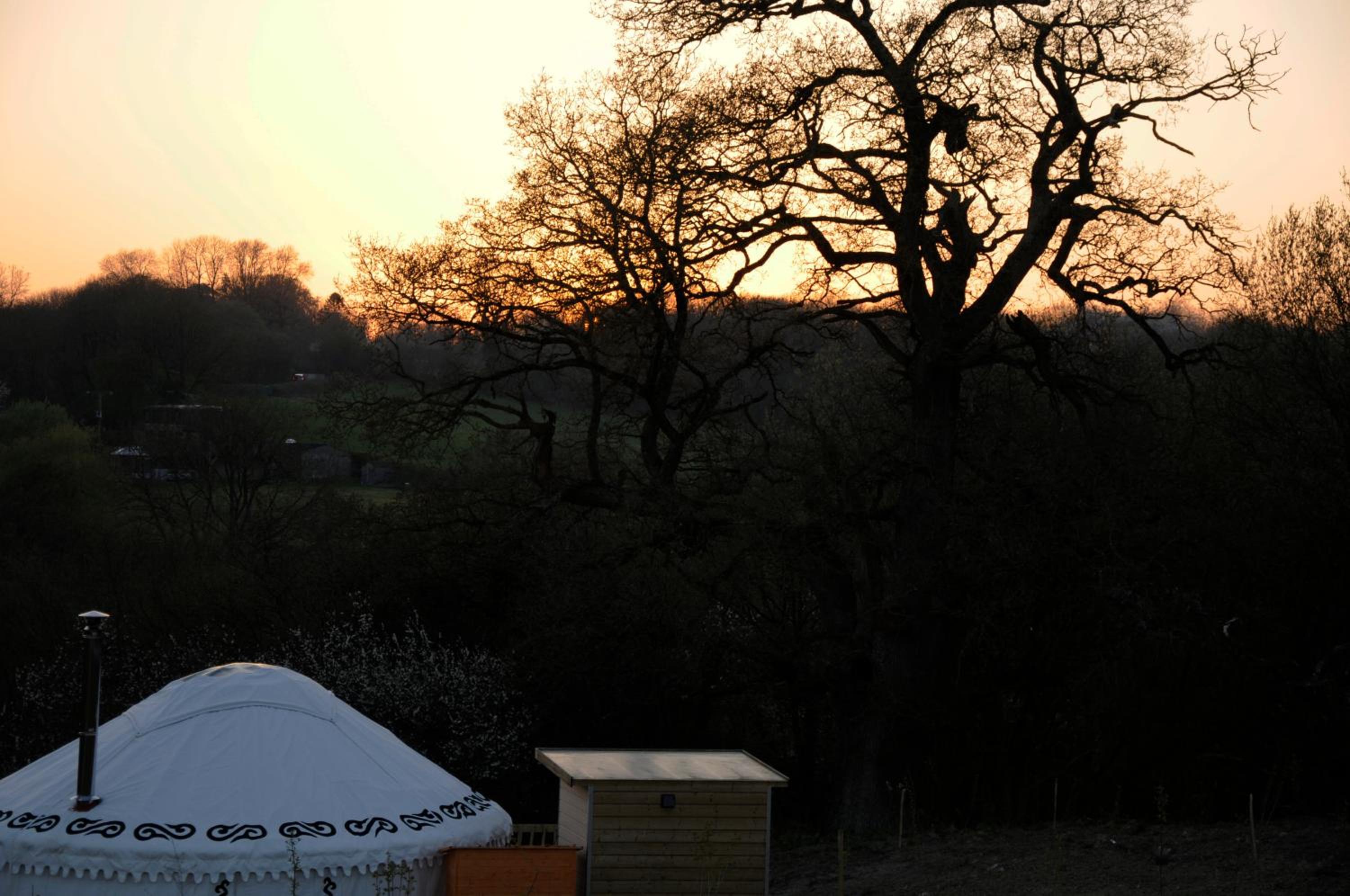 Glamping on the Hill